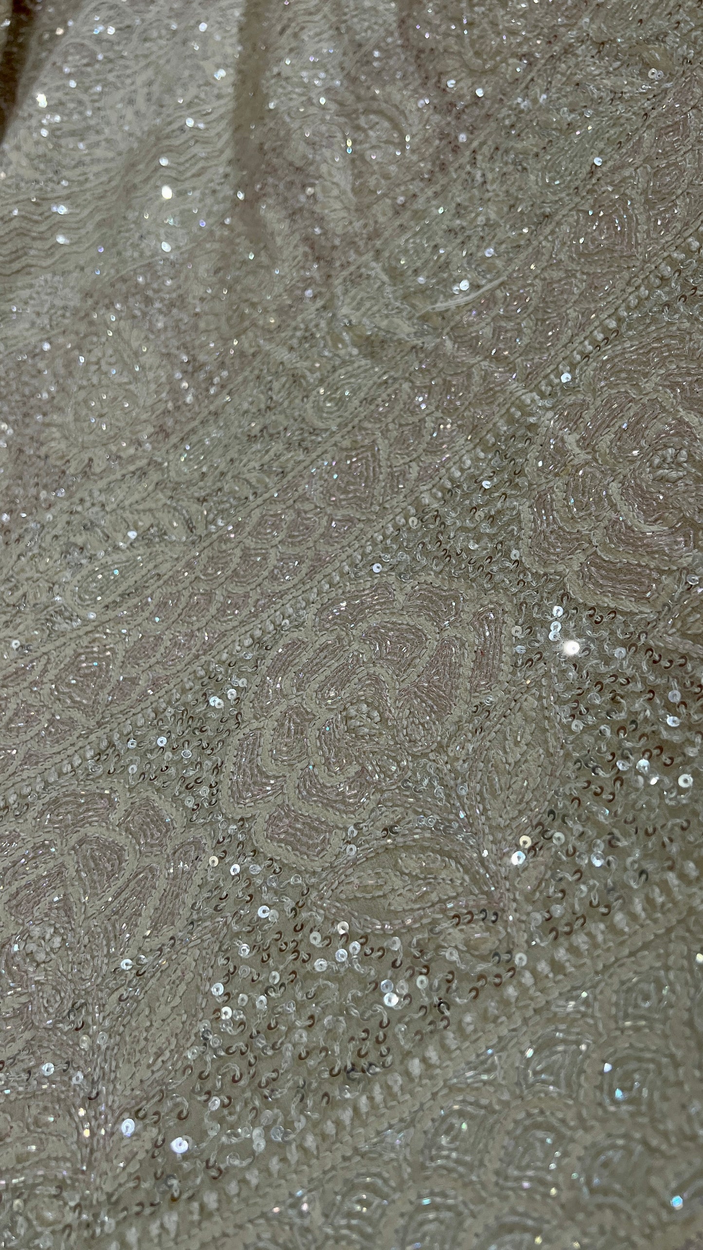 Ruhani Champagne Masterpiece Chikankari and heavy Sequins Saree
