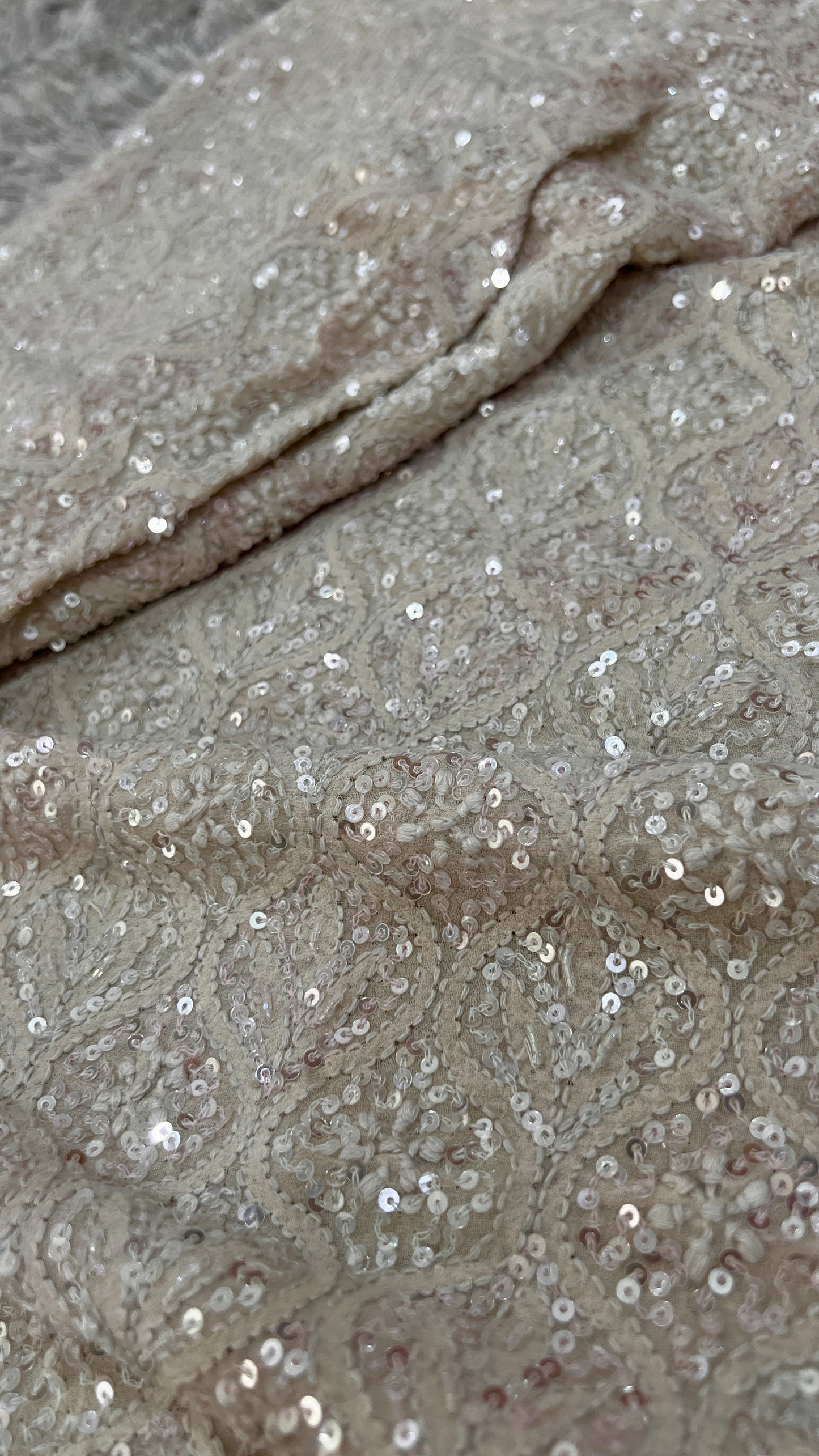Ruhani Champagne Masterpiece Chikankari and heavy Sequins Saree