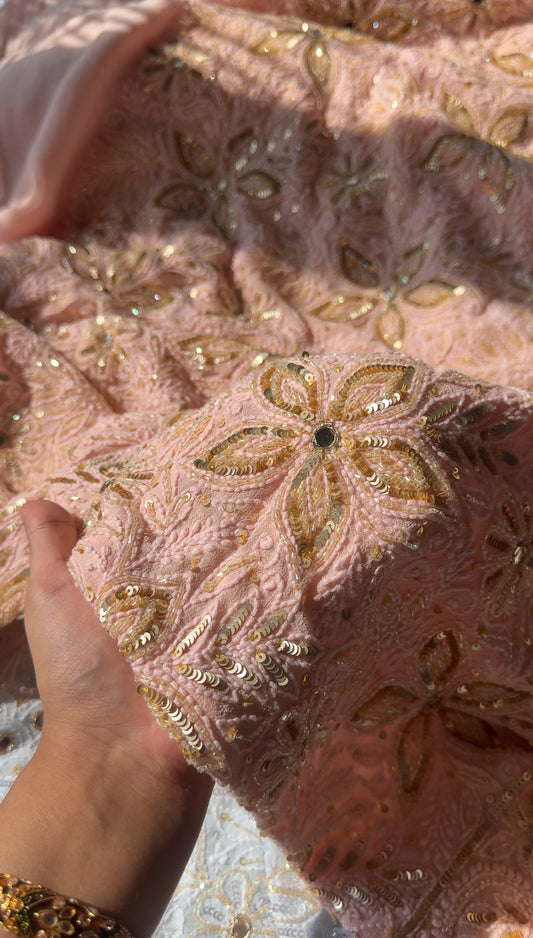 Ruhani Blush Peach Chikankari Sequins Cut Dana Embroidered Masterpiece Saree