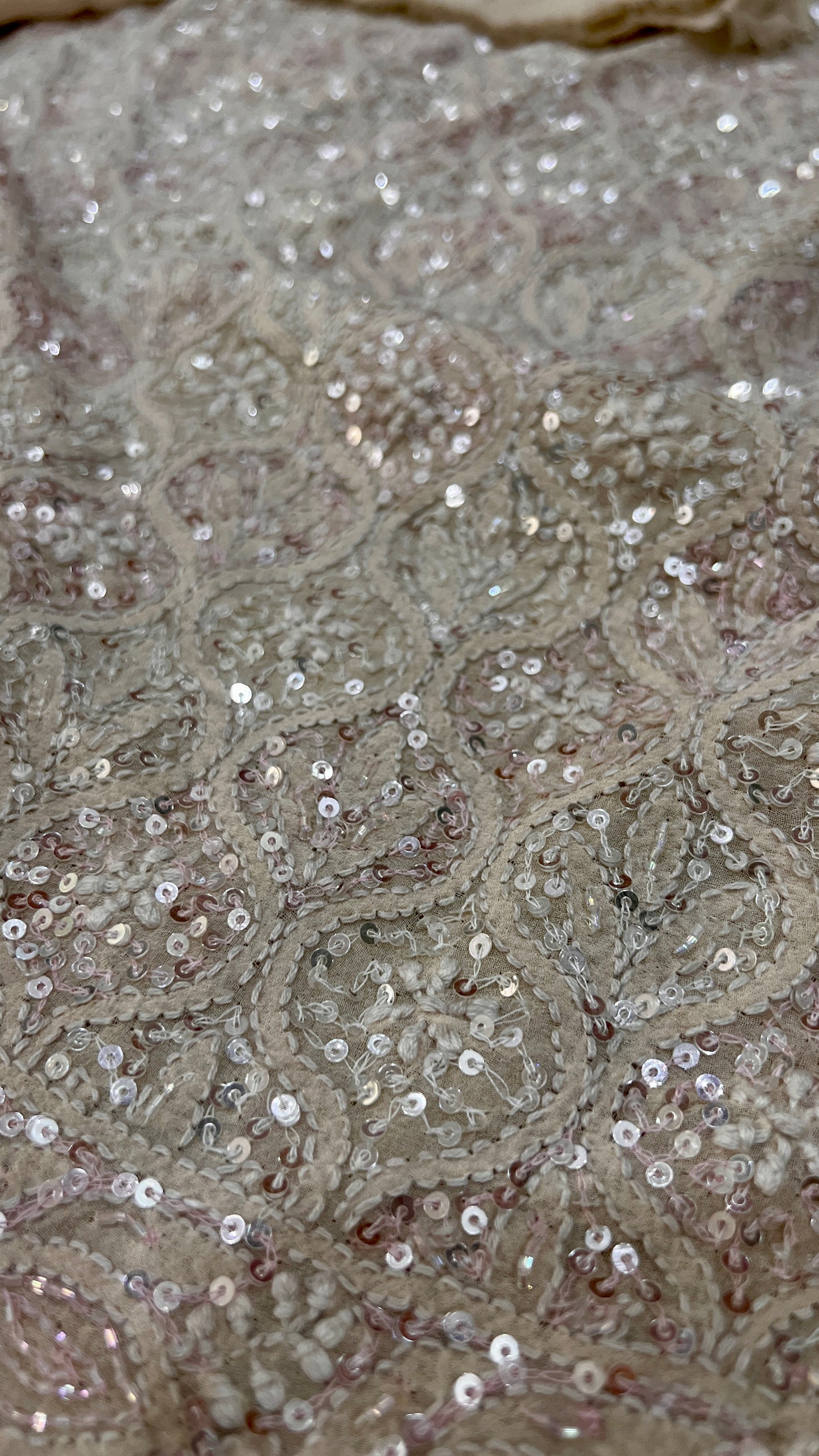 Ruhani Champagne Masterpiece Chikankari and heavy Sequins Saree