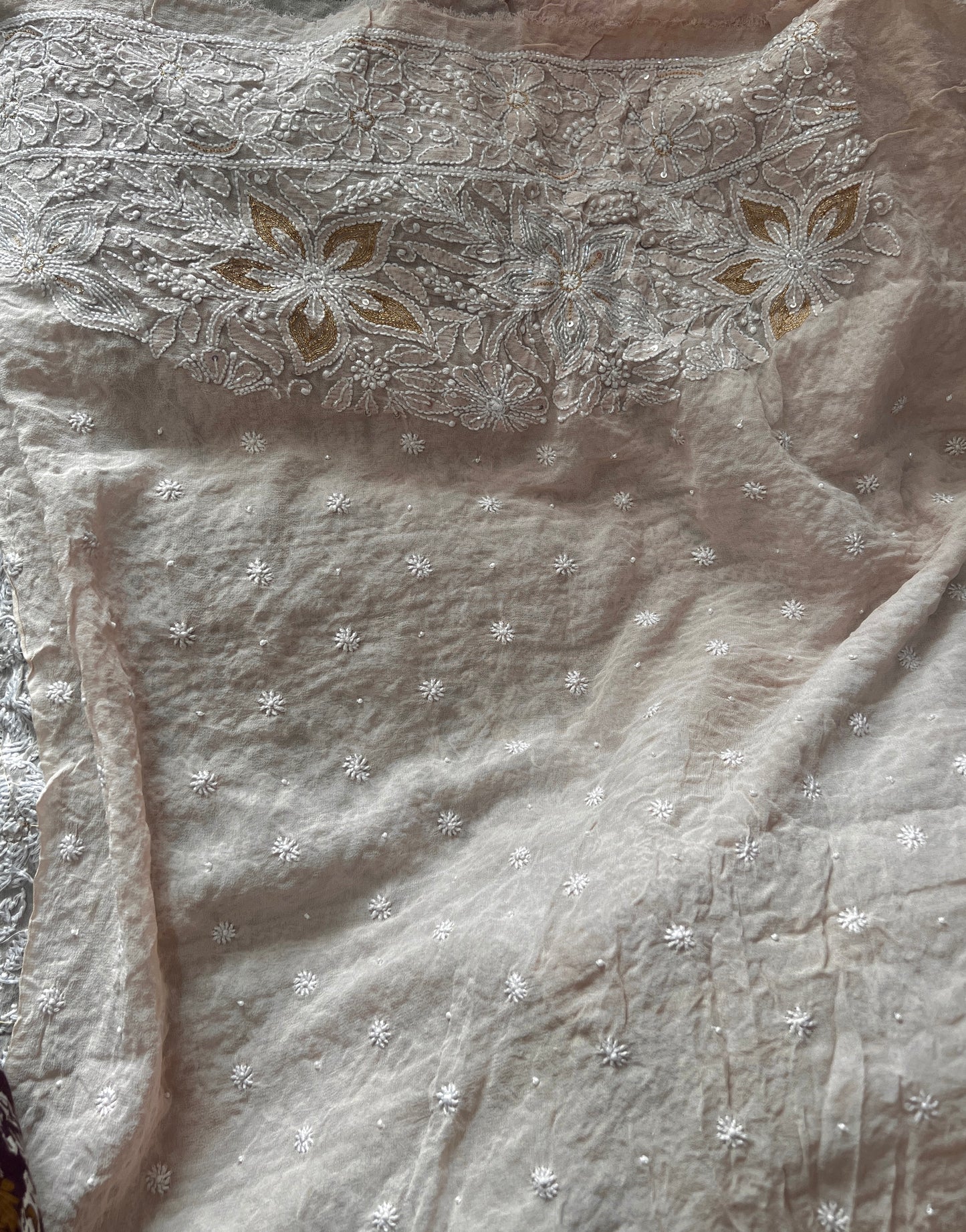 Ruhani Nude Champagne Chikankari and Cut Dana Saree