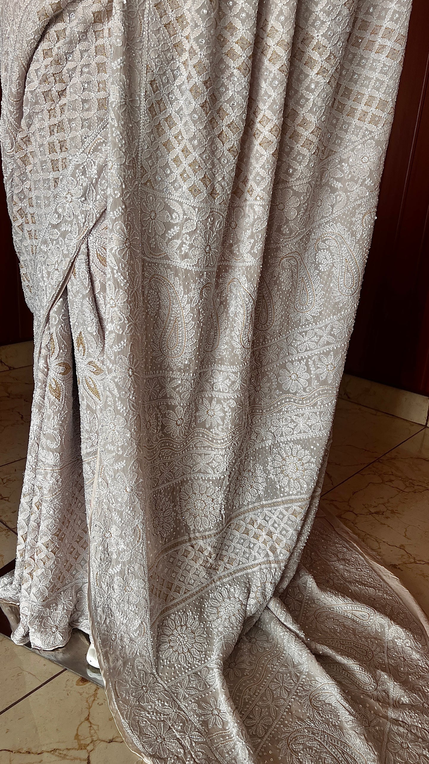 Ruhani Nude Champagne Chikankari and Cut Dana Saree