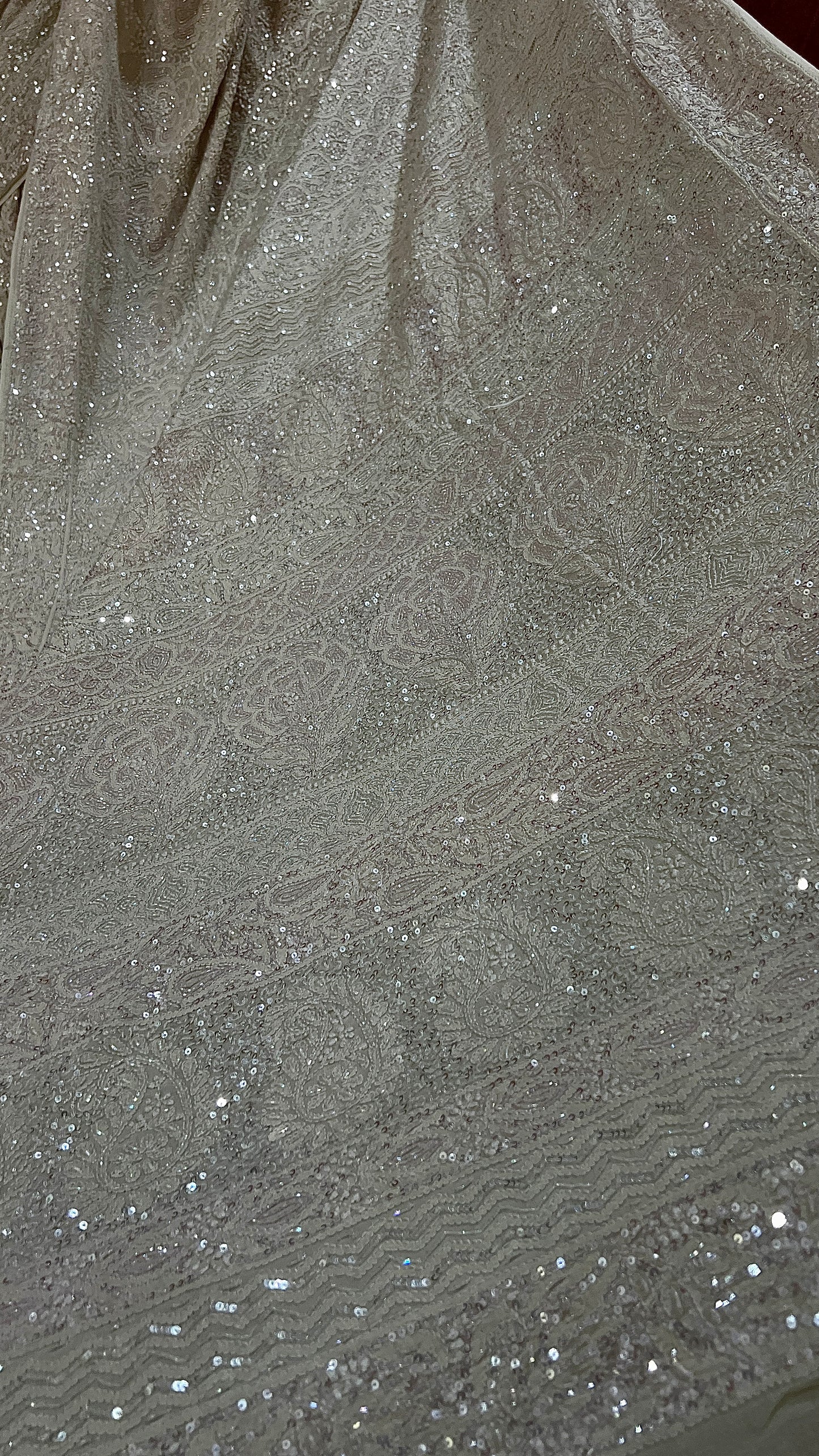 Ruhani Champagne Masterpiece Chikankari and heavy Sequins Saree