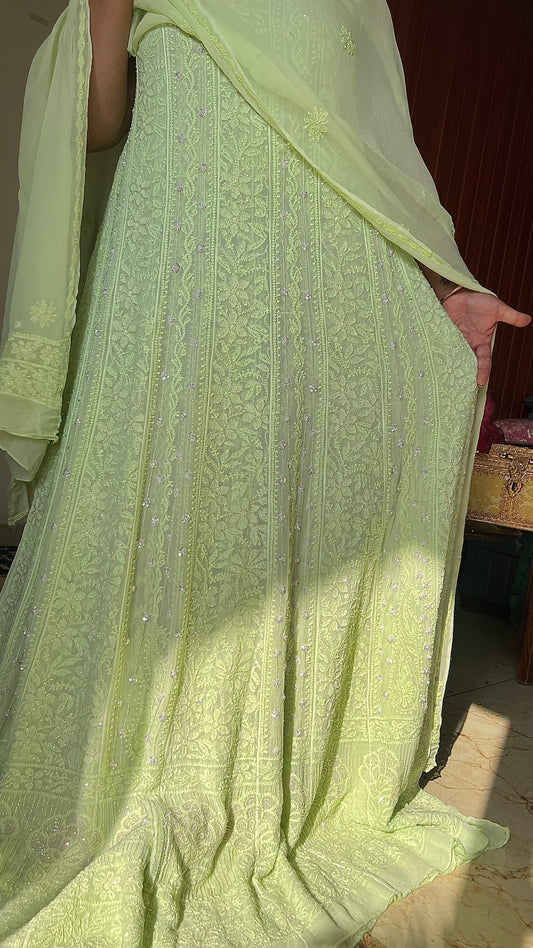 Pistachio Green Chikankari Sequins and Cut Dana Anarkali