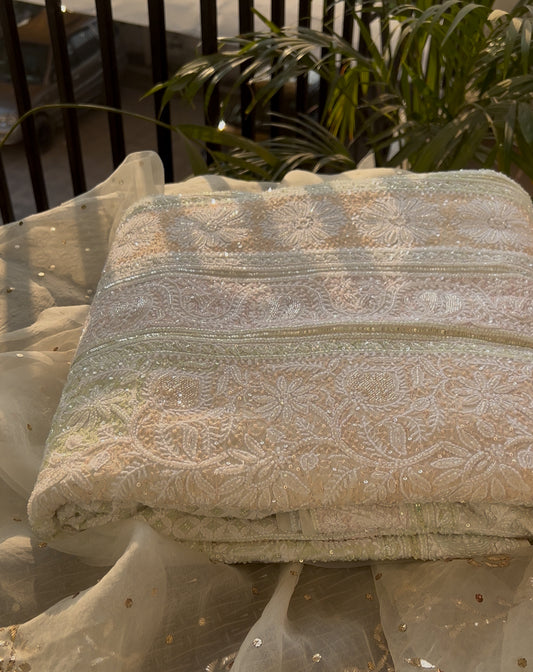 Ruhani Ivory Chikankari Multi Cut Dana and Sequins Saree