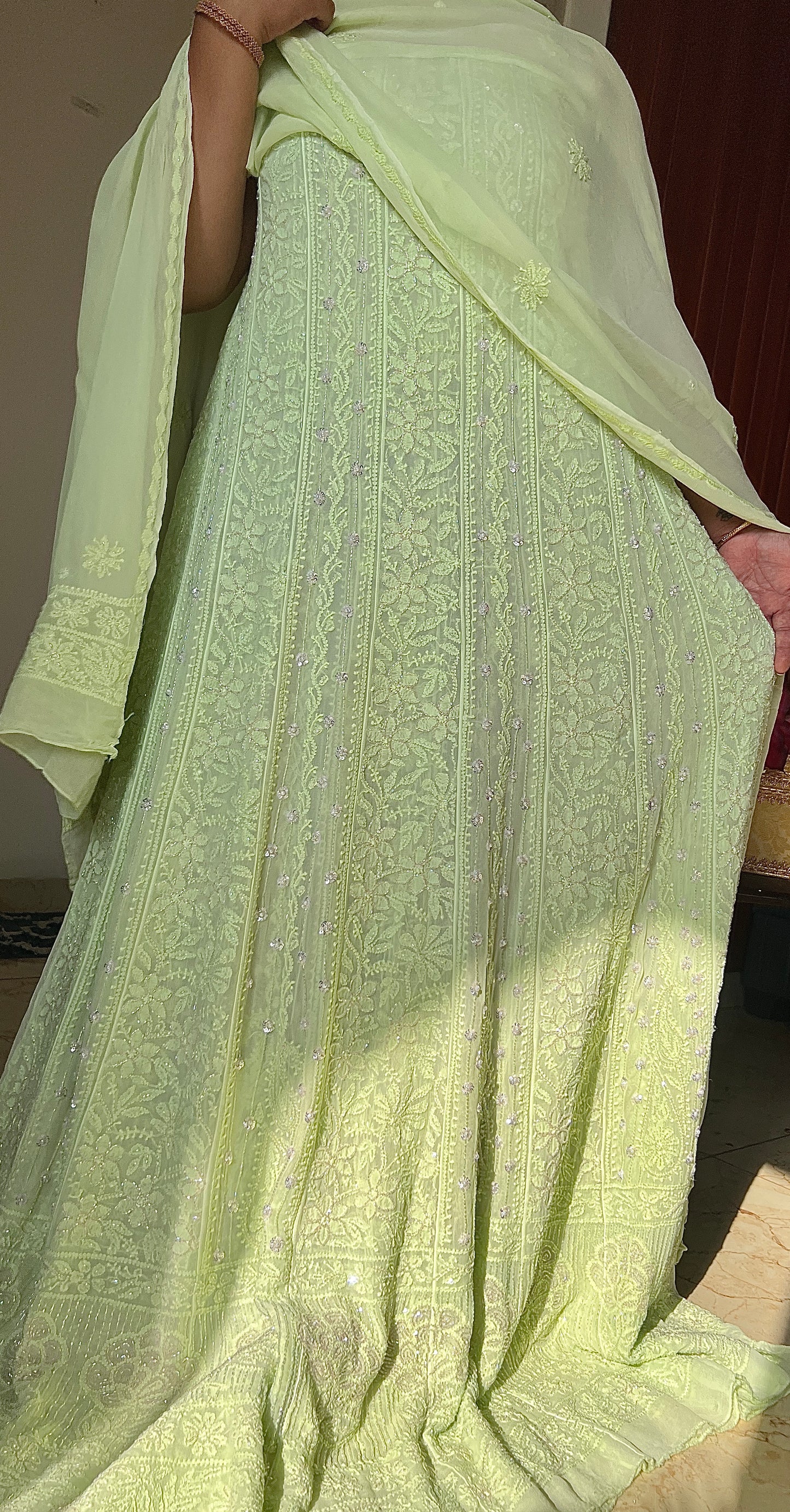 Pistachio Green Chikankari Sequins and Cut Dana Anarkali