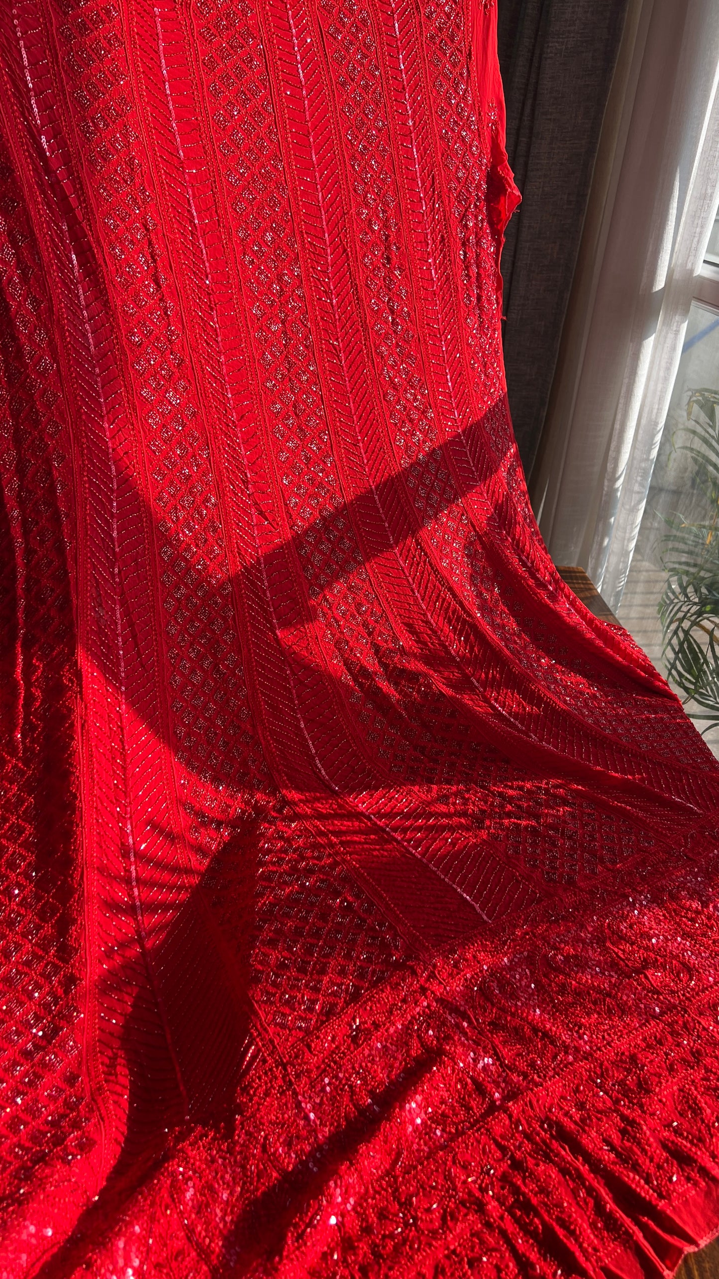 Red Chikankari Cut Dana and sequins Anarkali with Dupatta