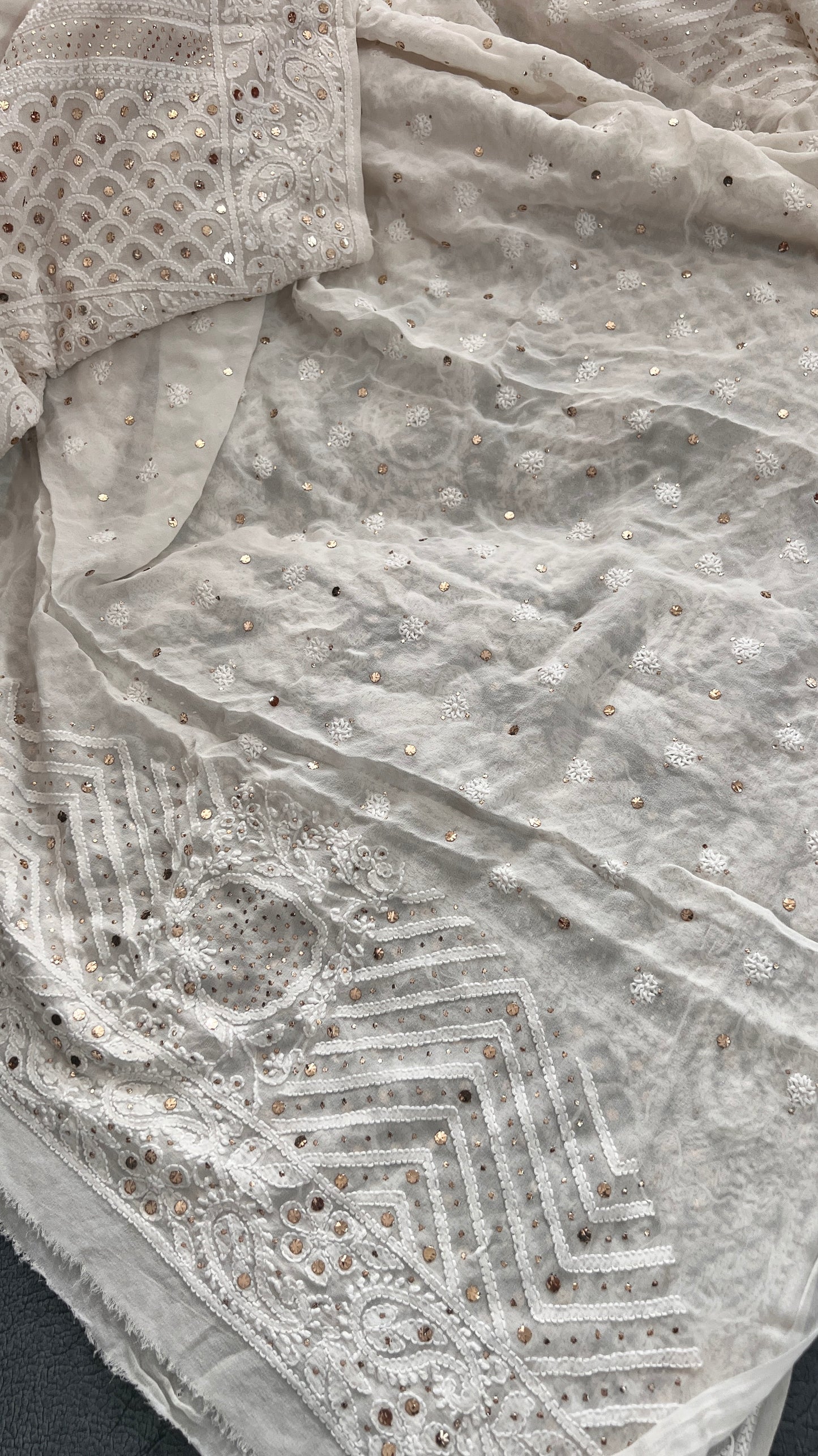 Ruhani Allover Chikankari and Mukaish Saree
