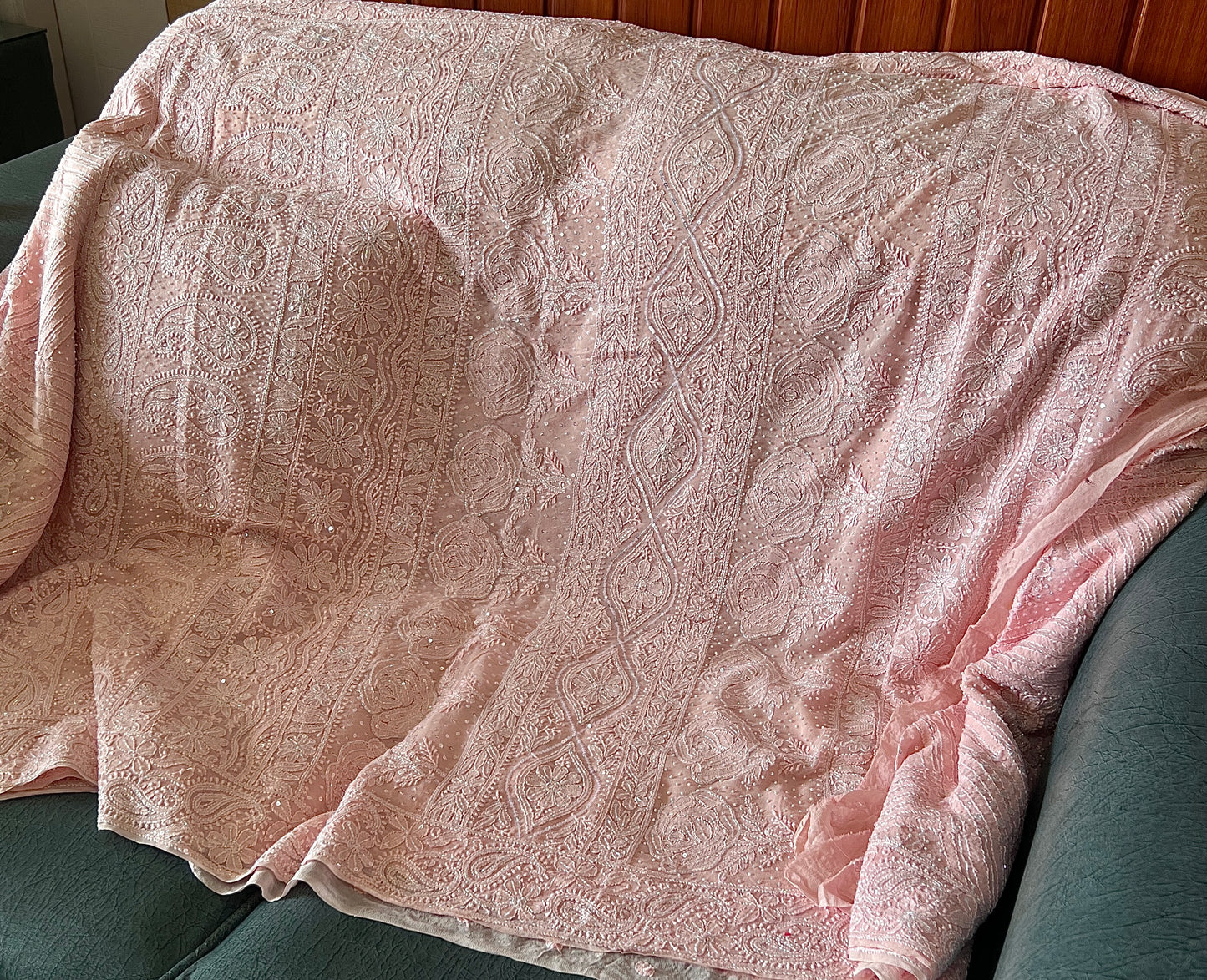 Ruhani Blush Pink Chikankari and Cut Dana Saree