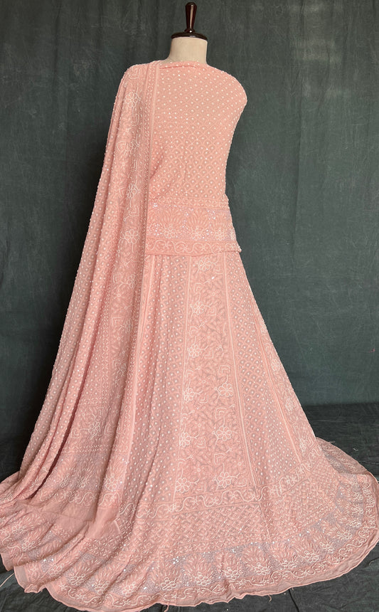 Powder peach Chikankari Pearl Sequins Lehenga