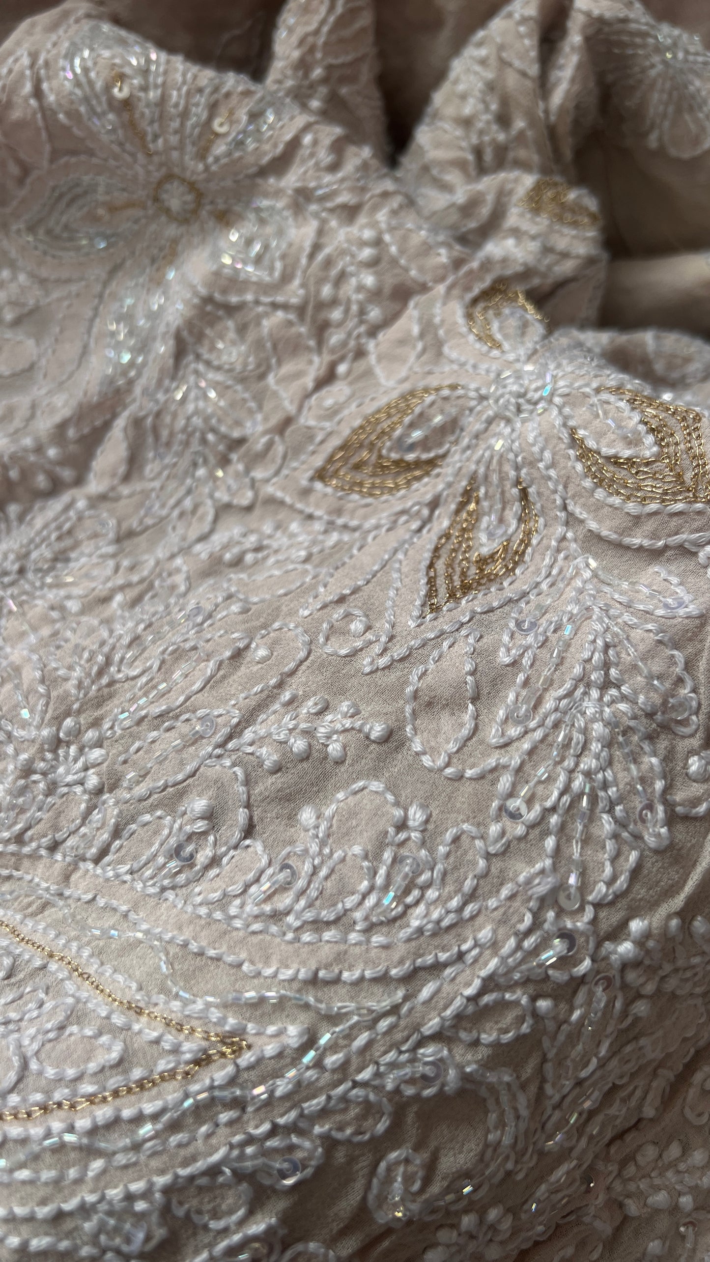 Ruhani Nude Champagne Chikankari and Cut Dana Saree