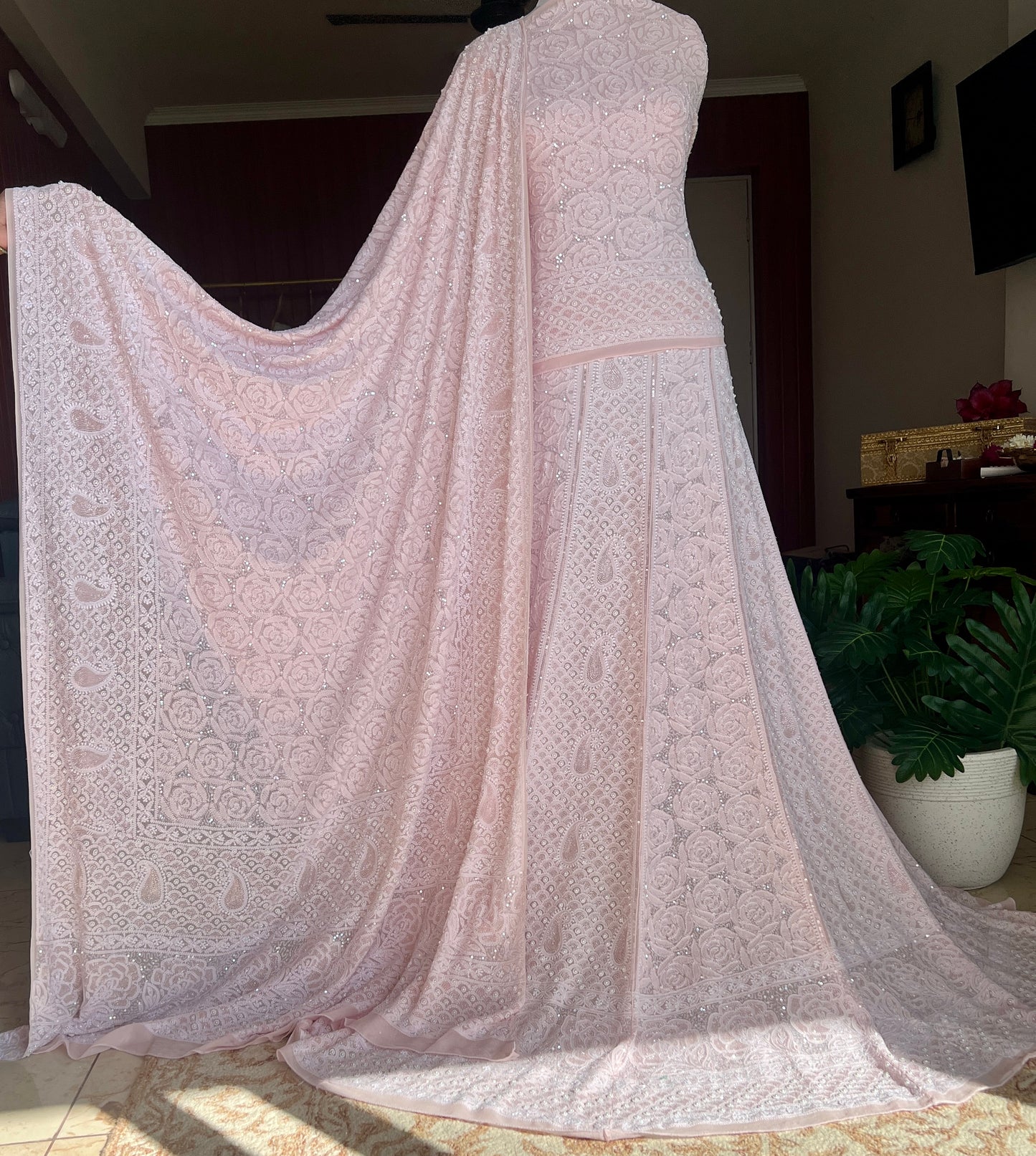 Ruhani Powder Pink Chikankari Pearl Cut Dana Sequins Wedding Lehenga
