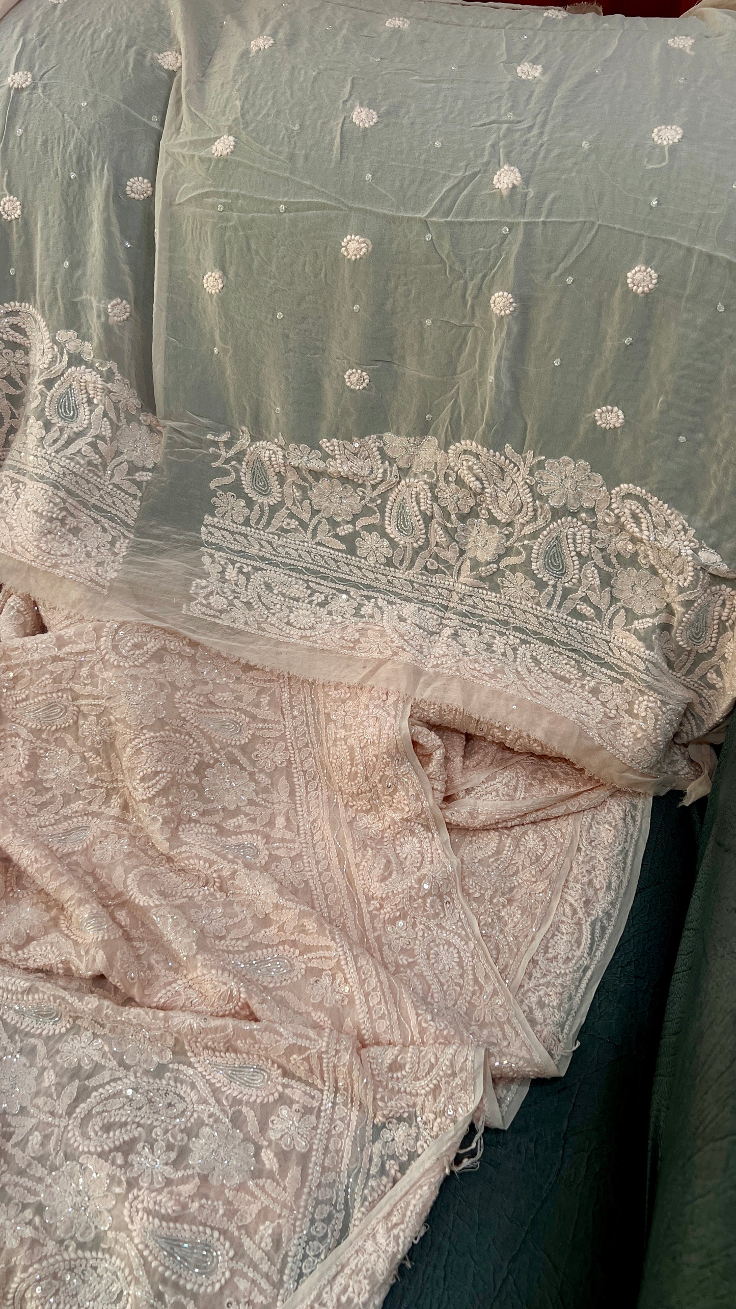 Ruhani Soft Peach Chikankari and Cut Dana Saree