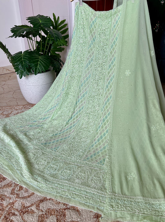 Bright Pista Green Chikankari multi hued Cut Dana and Sequins Anarkali