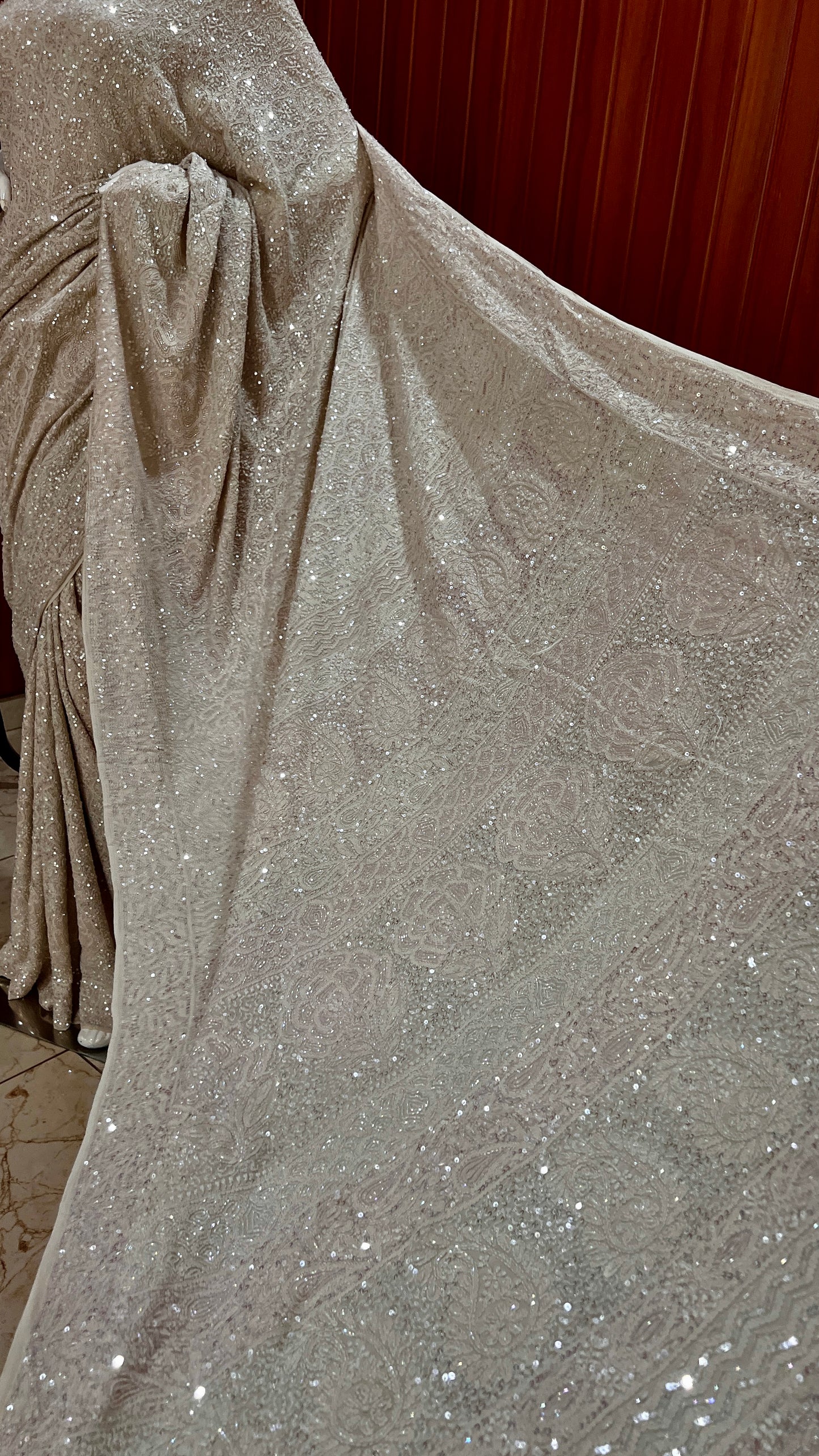 Ruhani Champagne Masterpiece Chikankari and heavy Sequins Saree