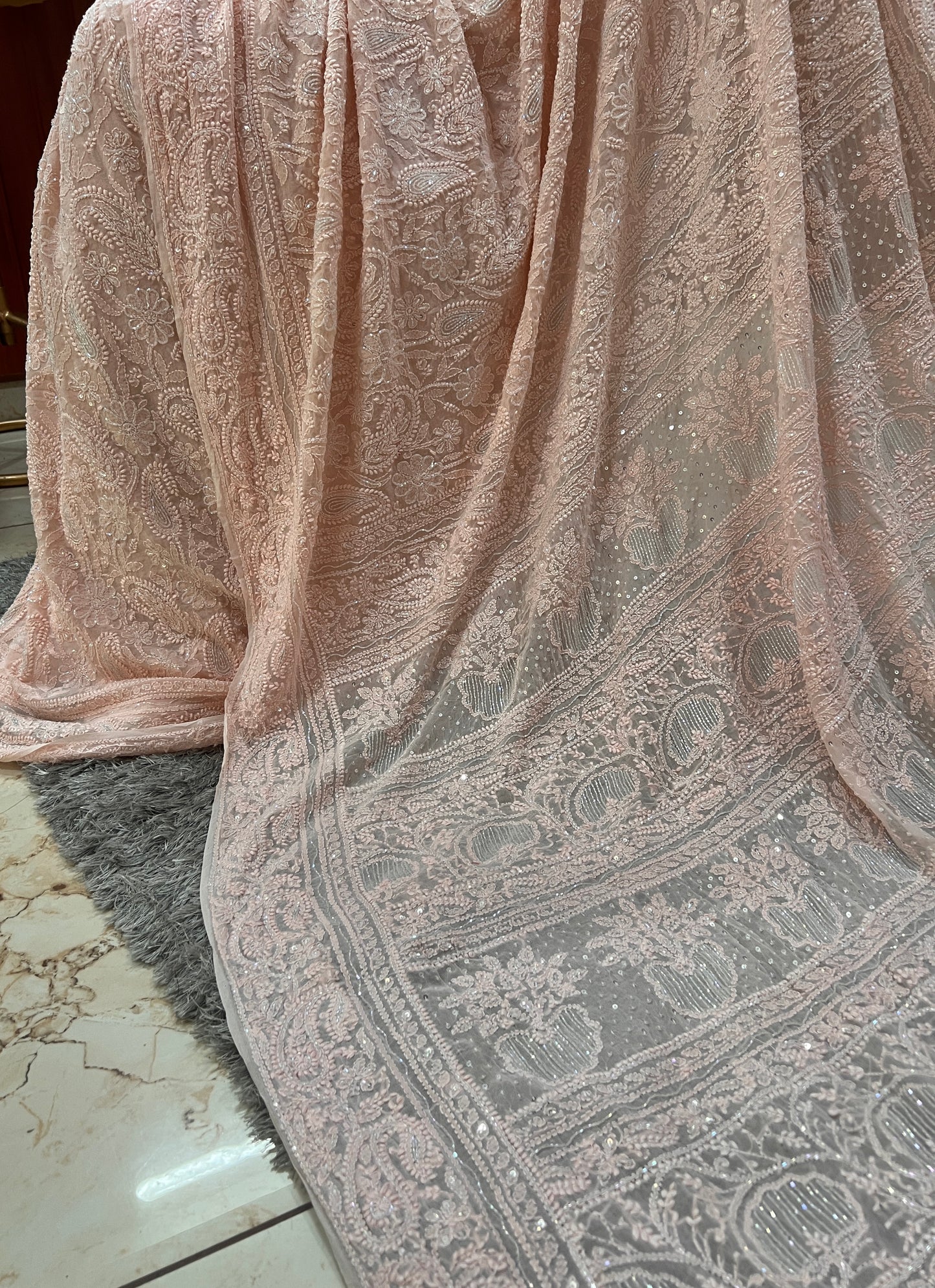 Ruhani Soft Peach Chikankari and Cut Dana Saree