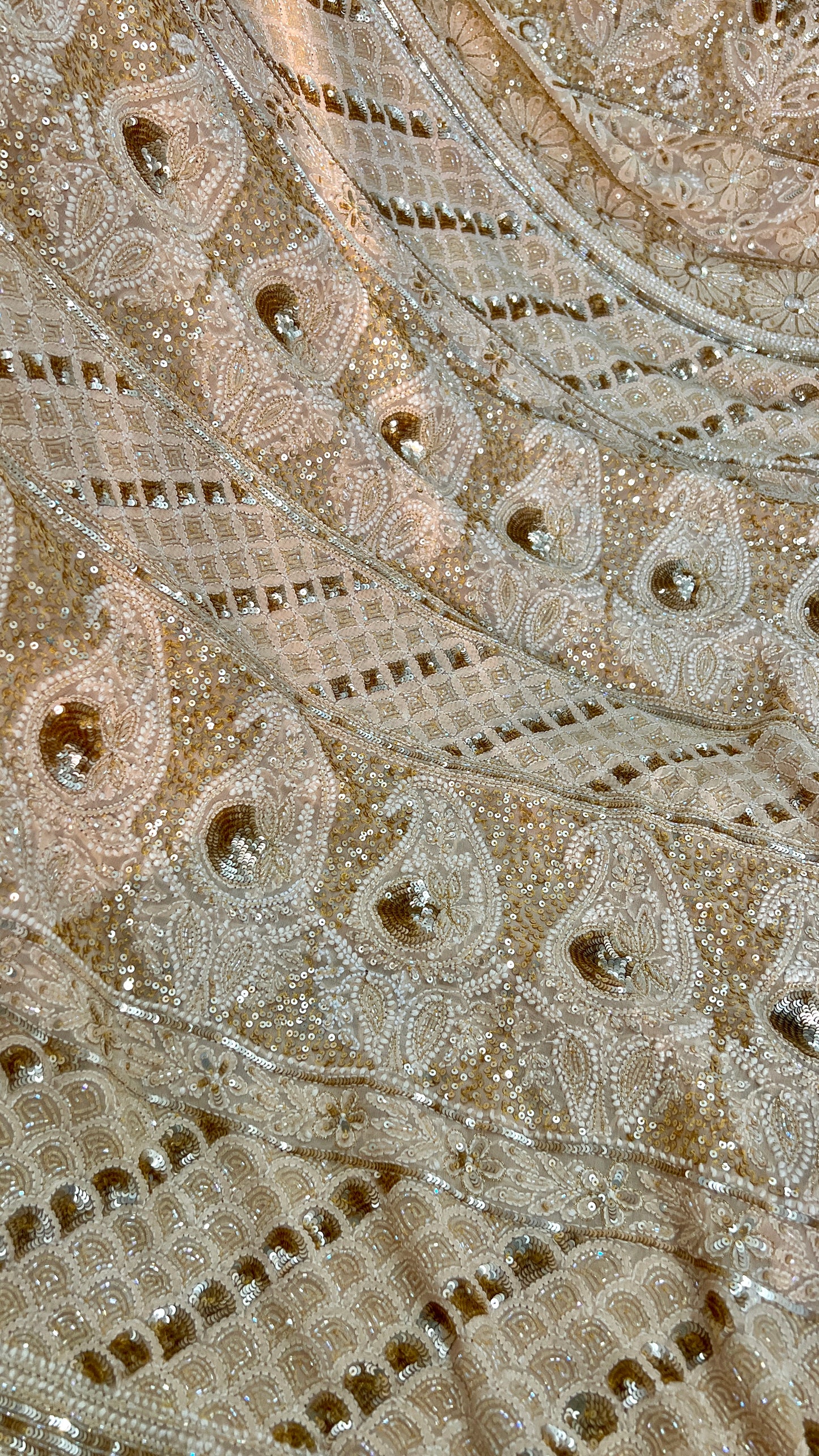 Ruhani Golden Beige Chikankari Sequins Cut Dana Embroidered Masterpiece Saree