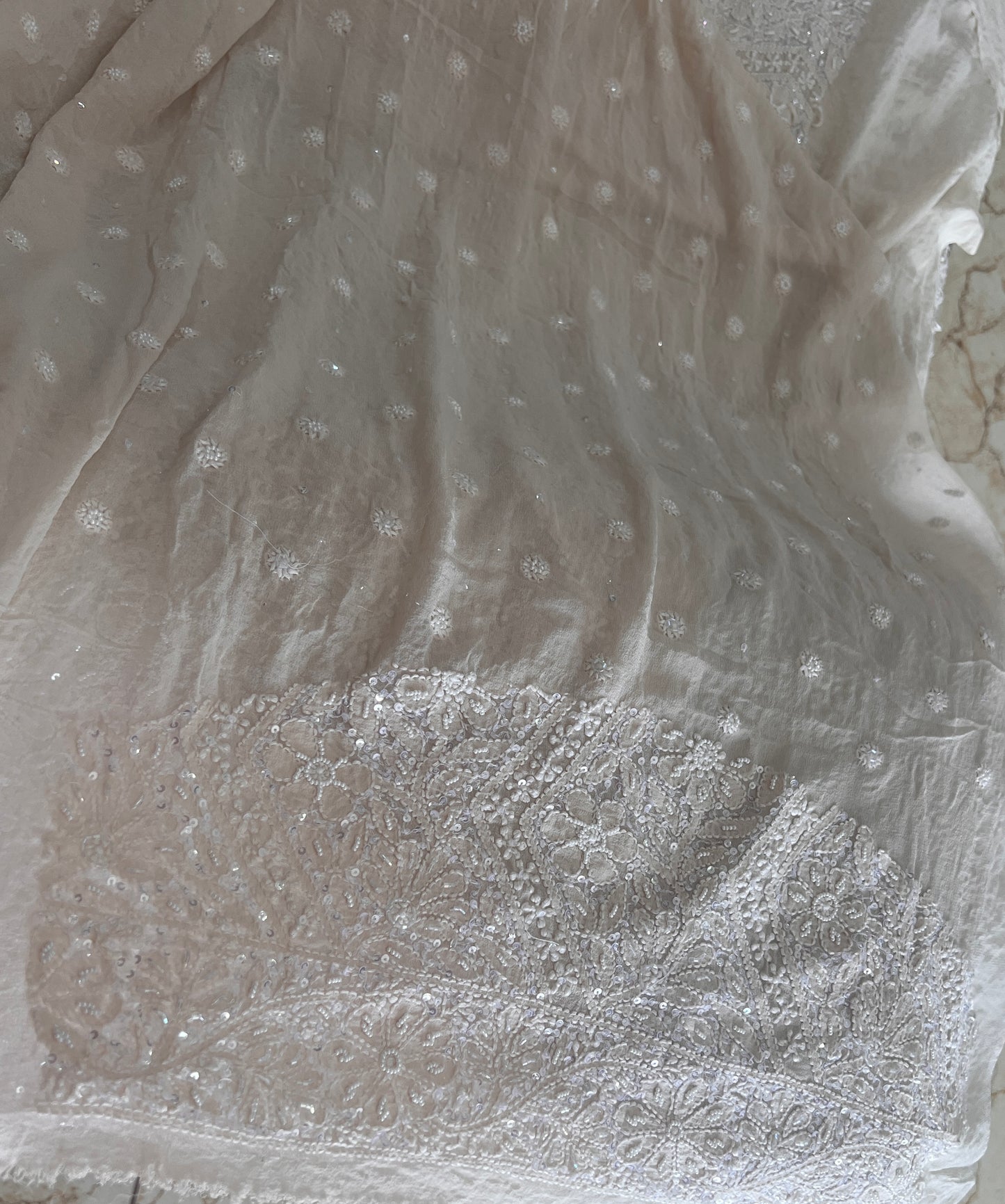 Ruhani Champagne Chikankari Cut Dana and Sequins Saree