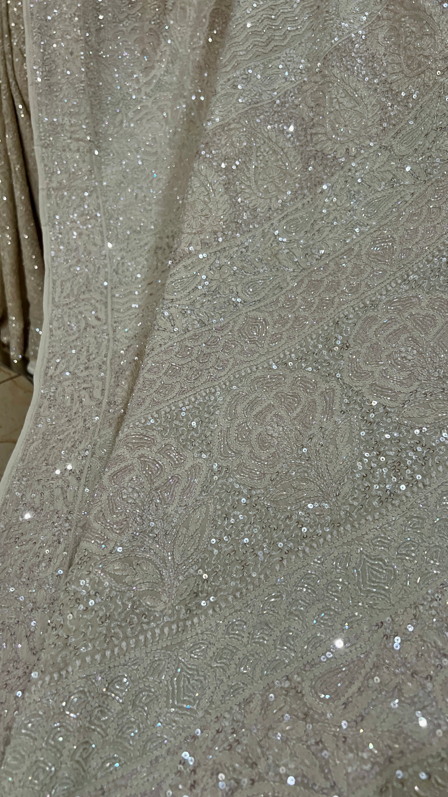 Ruhani Champagne Masterpiece Chikankari and heavy Sequins Saree