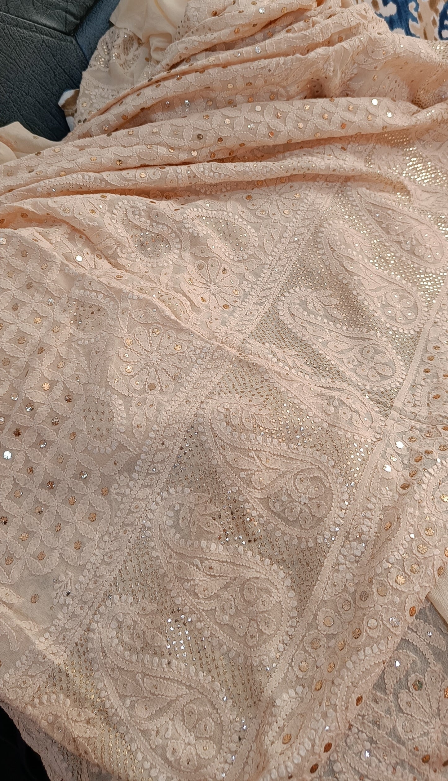 Beige Ruhani Allover Chikankari and Mukaish Saree