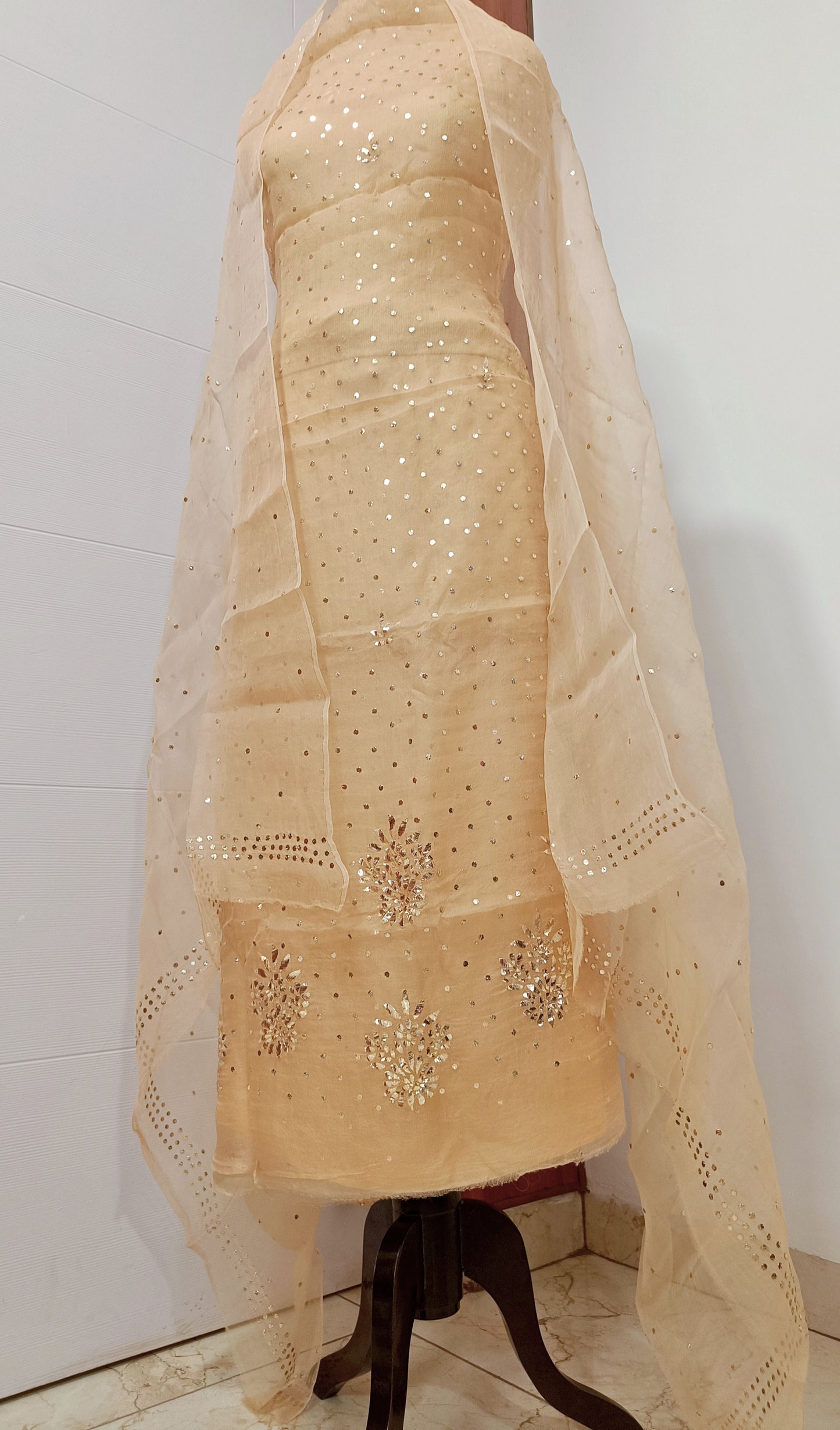 Golden beige Badla and Mukaish work pure Organza kurta with dupatta