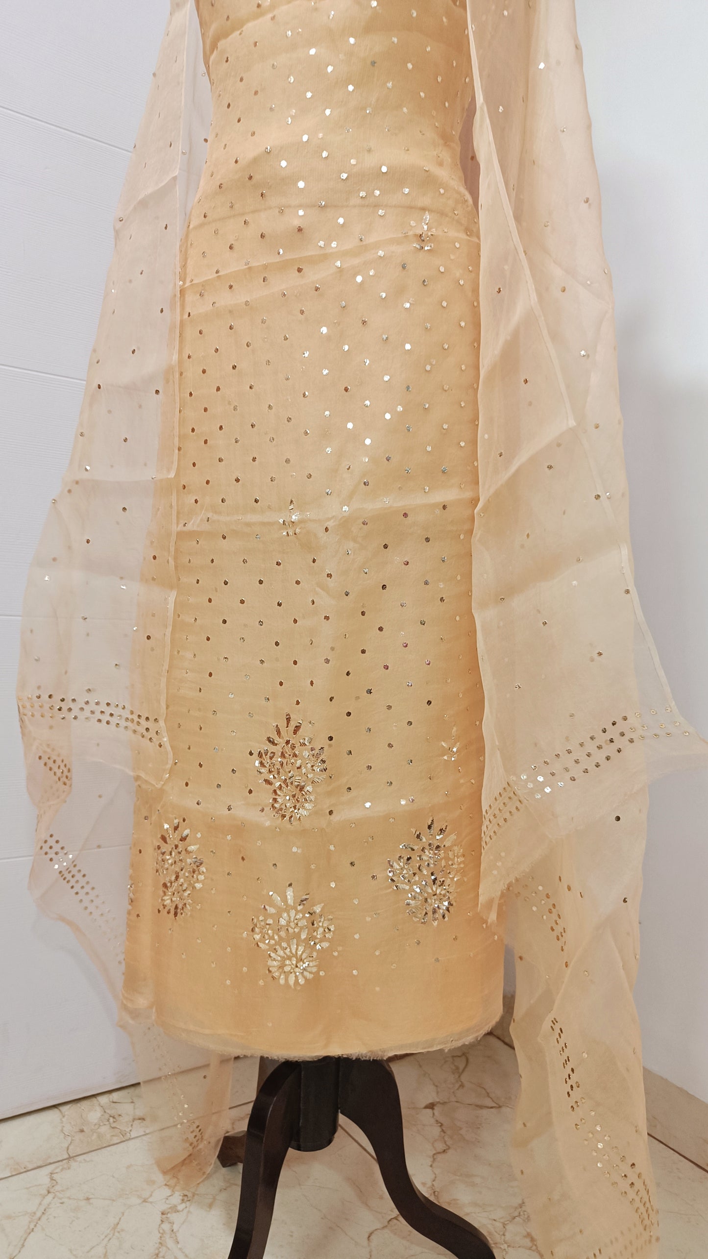 Golden beige Badla and Mukaish work pure Organza kurta with dupatta