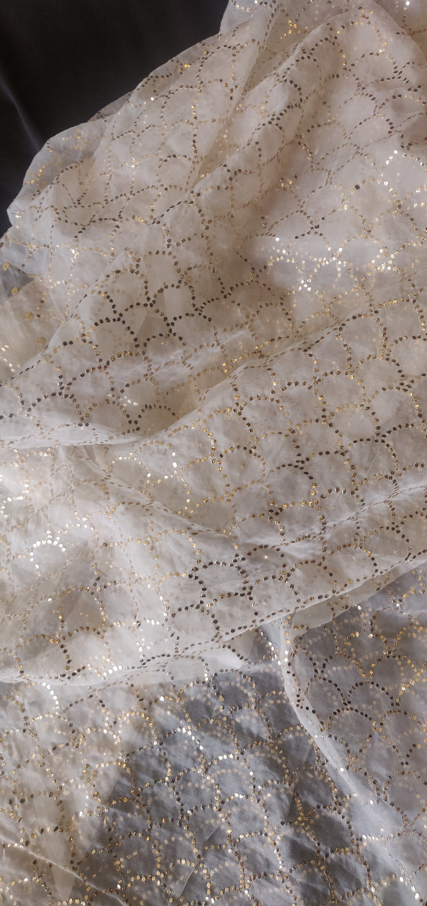 Organza allover heavy mukaish dupatta