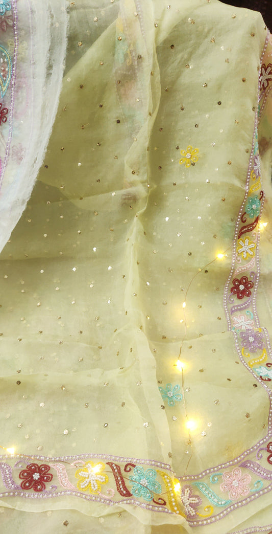 Lemon pure Organza allover mukaish and designer border dupatta