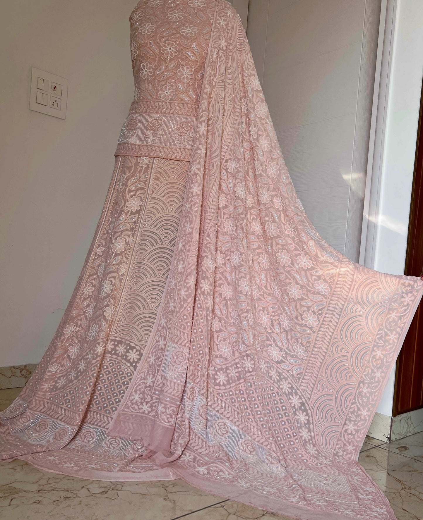 Dusty peach Chikankari Cut Dana and Pearl Lehenga