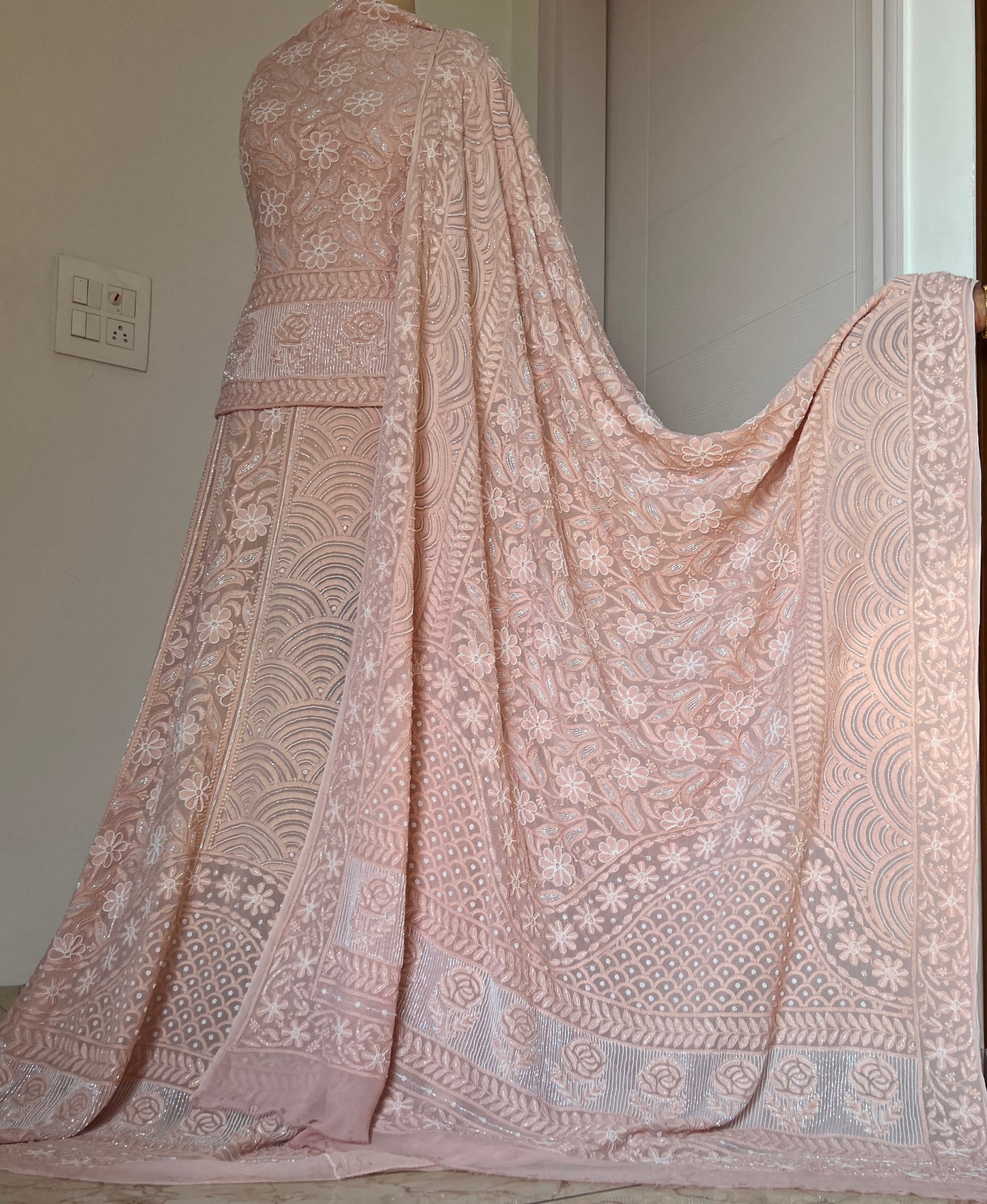 Dusty peach Chikankari Cut Dana and Pearl Lehenga