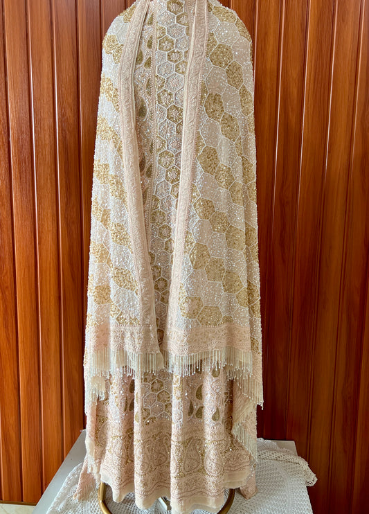 Ruhani Nude Chikankari Sequins and Cut Dana Anarkali