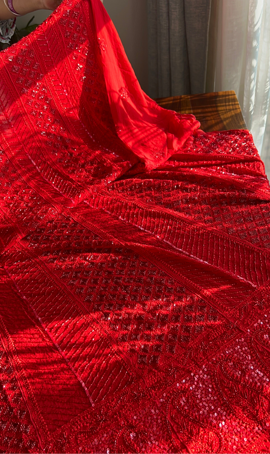 Red Chikankari Cut Dana and sequins Anarkali with Dupatta