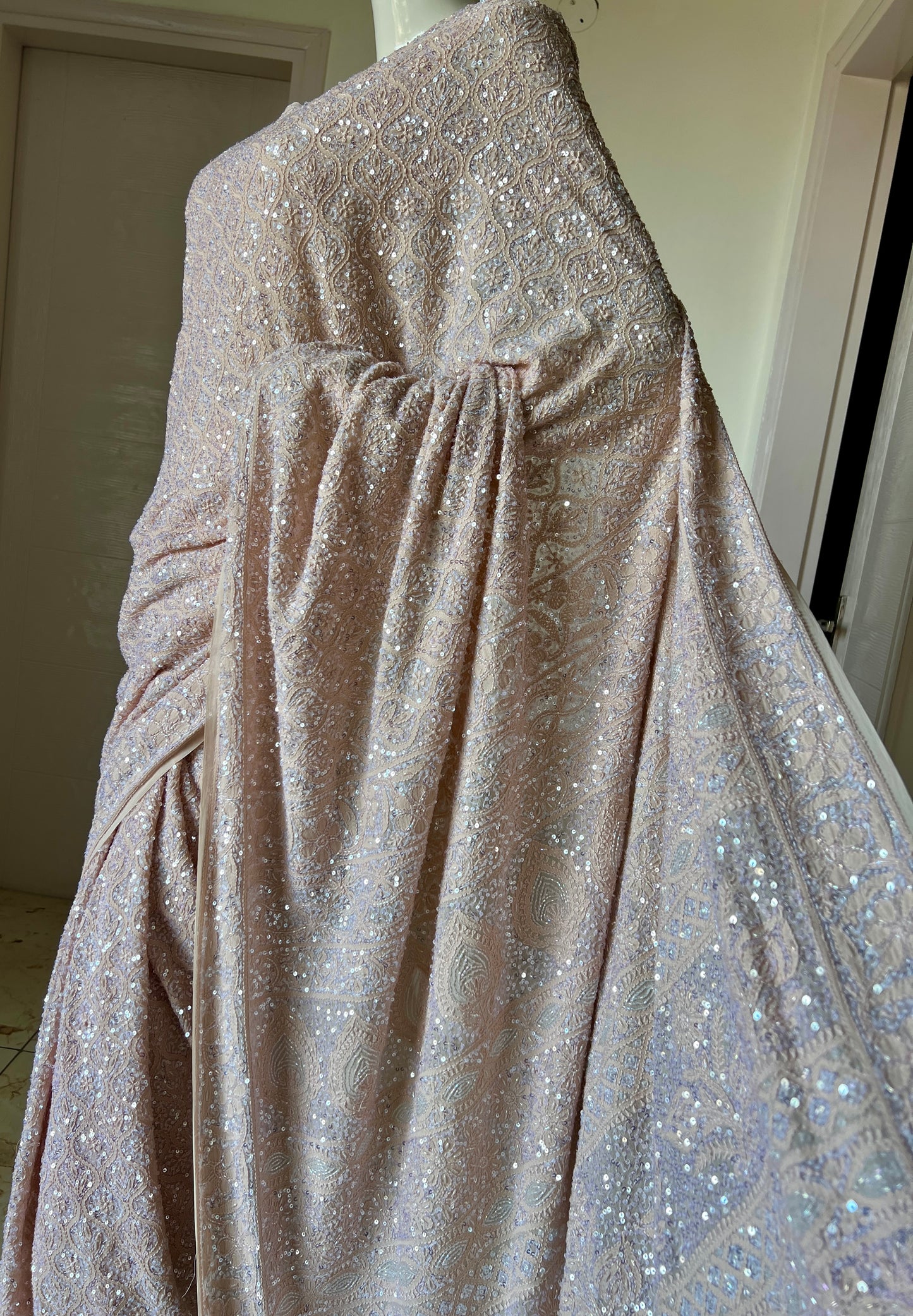 Ruhani Beige Chikankari Sequins Cut Dana Embroidered Masterpiece Saree