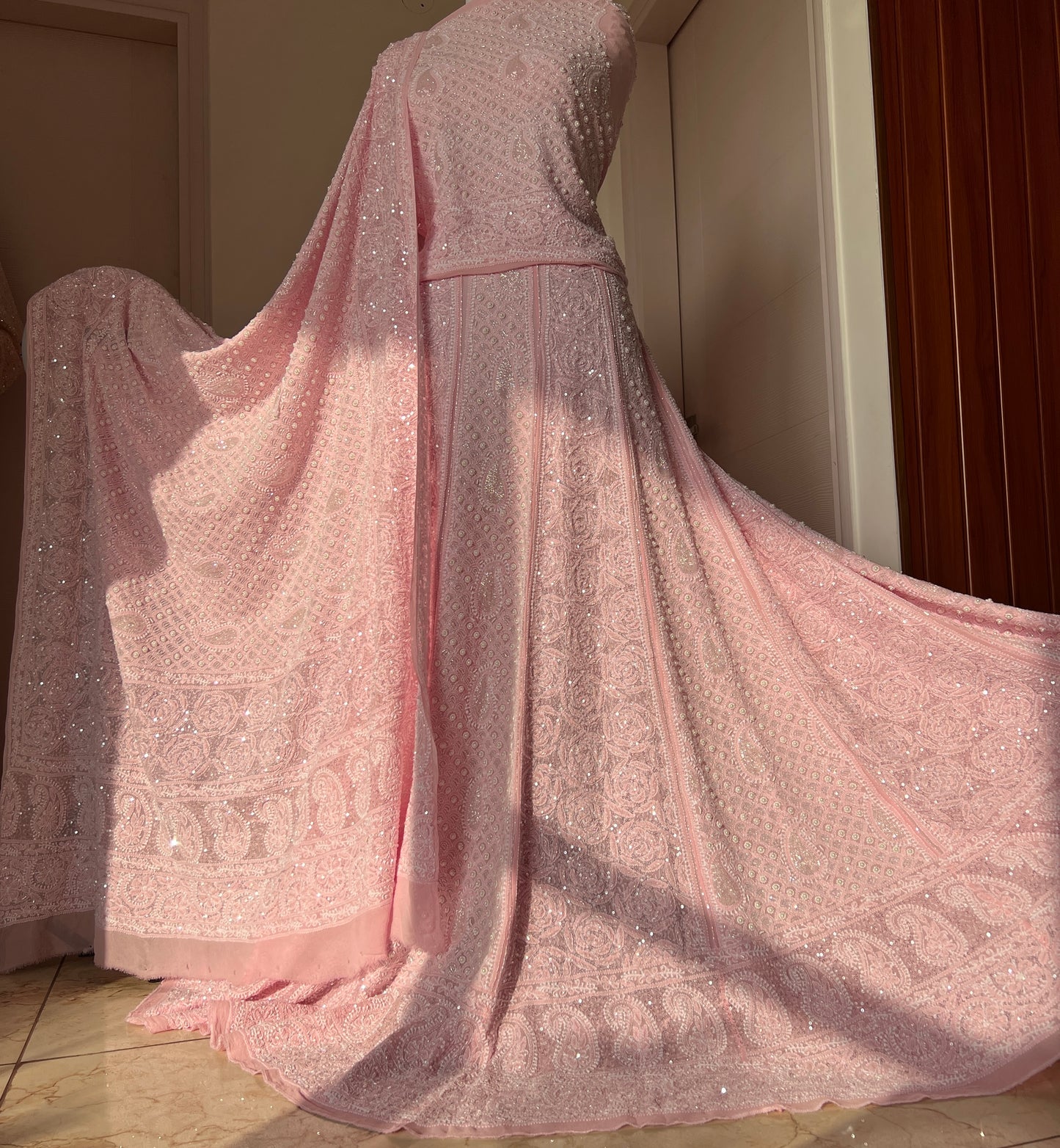 Ruhani Pink Chikankari Pearl Cut Dana Sequins Wedding Lehenga