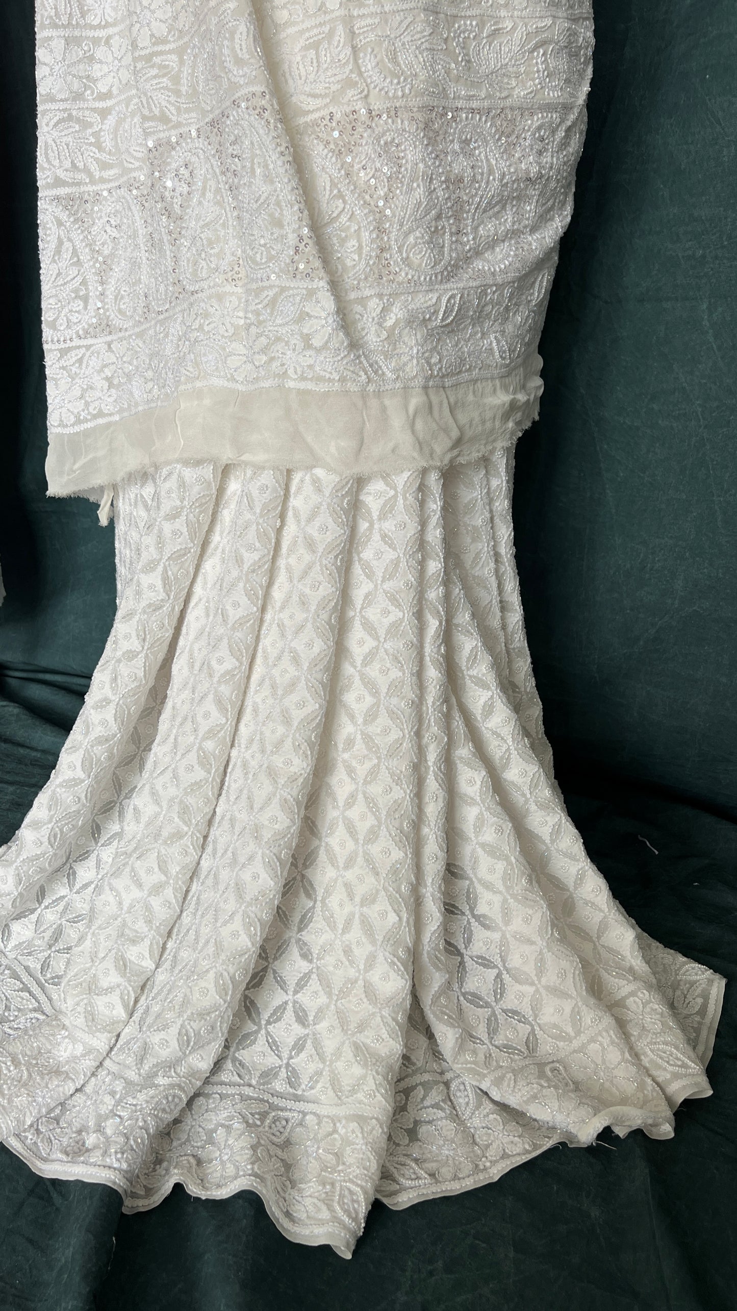 Ruhani Chikankari Pearl Cut Dana and Sequins Saree