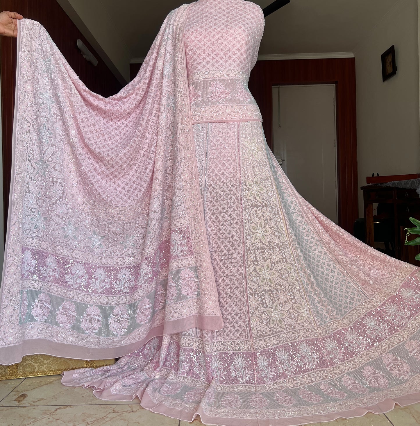 Pink Ruhani Chikankari Lehenga with Multicolored Cut Dana and sequins Work