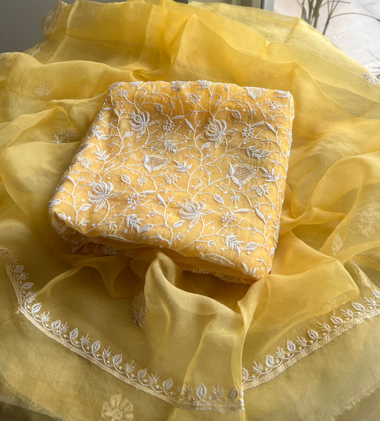 Yellow chikankari pearl cut Dana work pure Organza kurta with dupatta