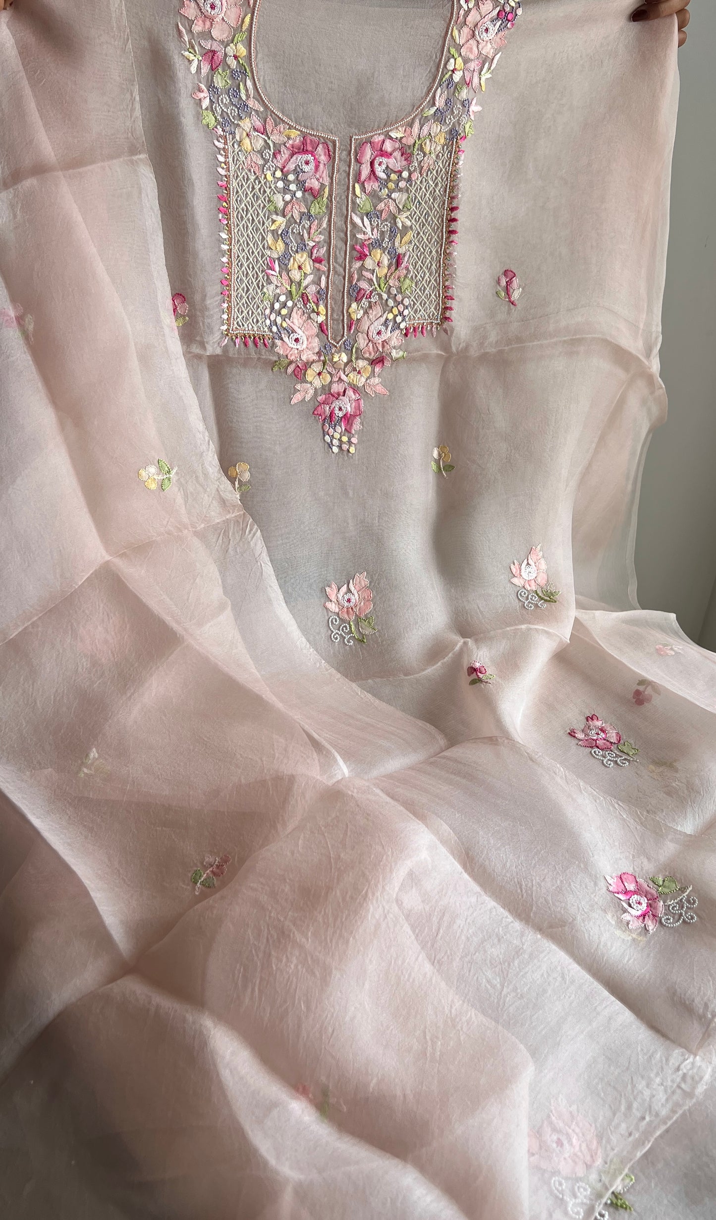 Nude pink Resham Chikankari pure Organza kurta with dupatta