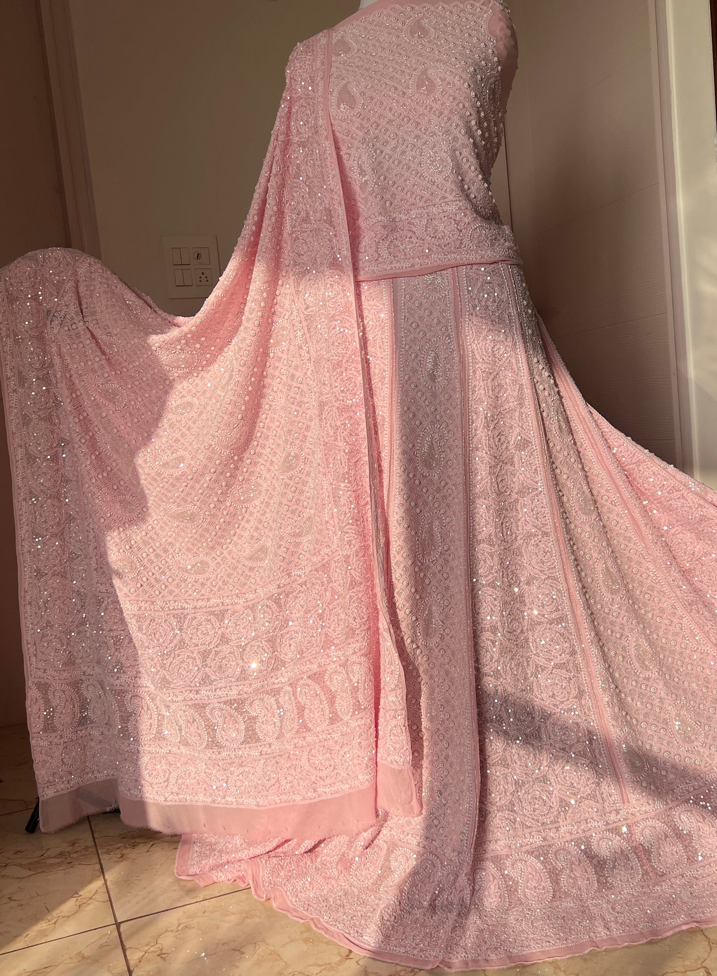 Ruhani Pink Chikankari Pearl Cut Dana Sequins Wedding Lehenga