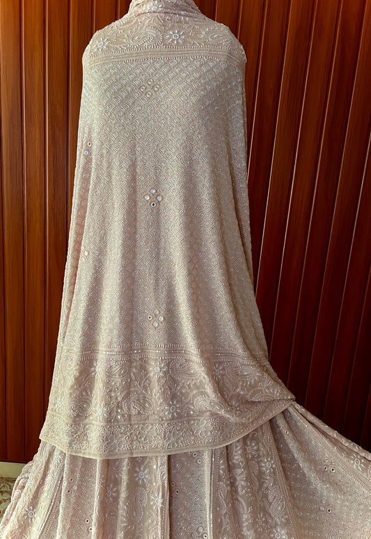 Blush Peach Ruhani Pink Chikankari Sequins Cut Dana Lehenga