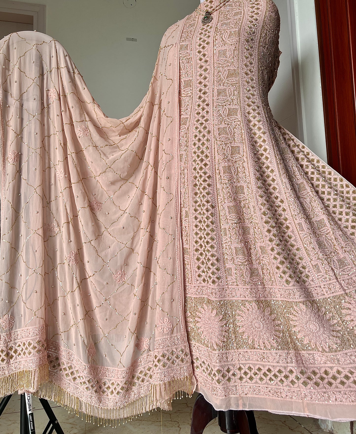 Ruhani Old Rose Chikankari sequins cut Dana Anarkali