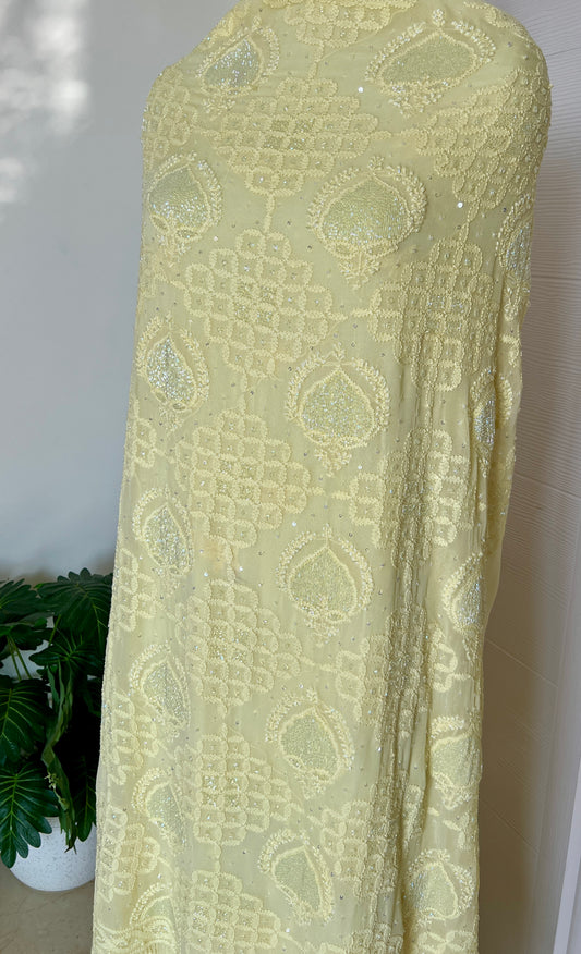 Chikankari cut dana sequins work kurta and dupatta