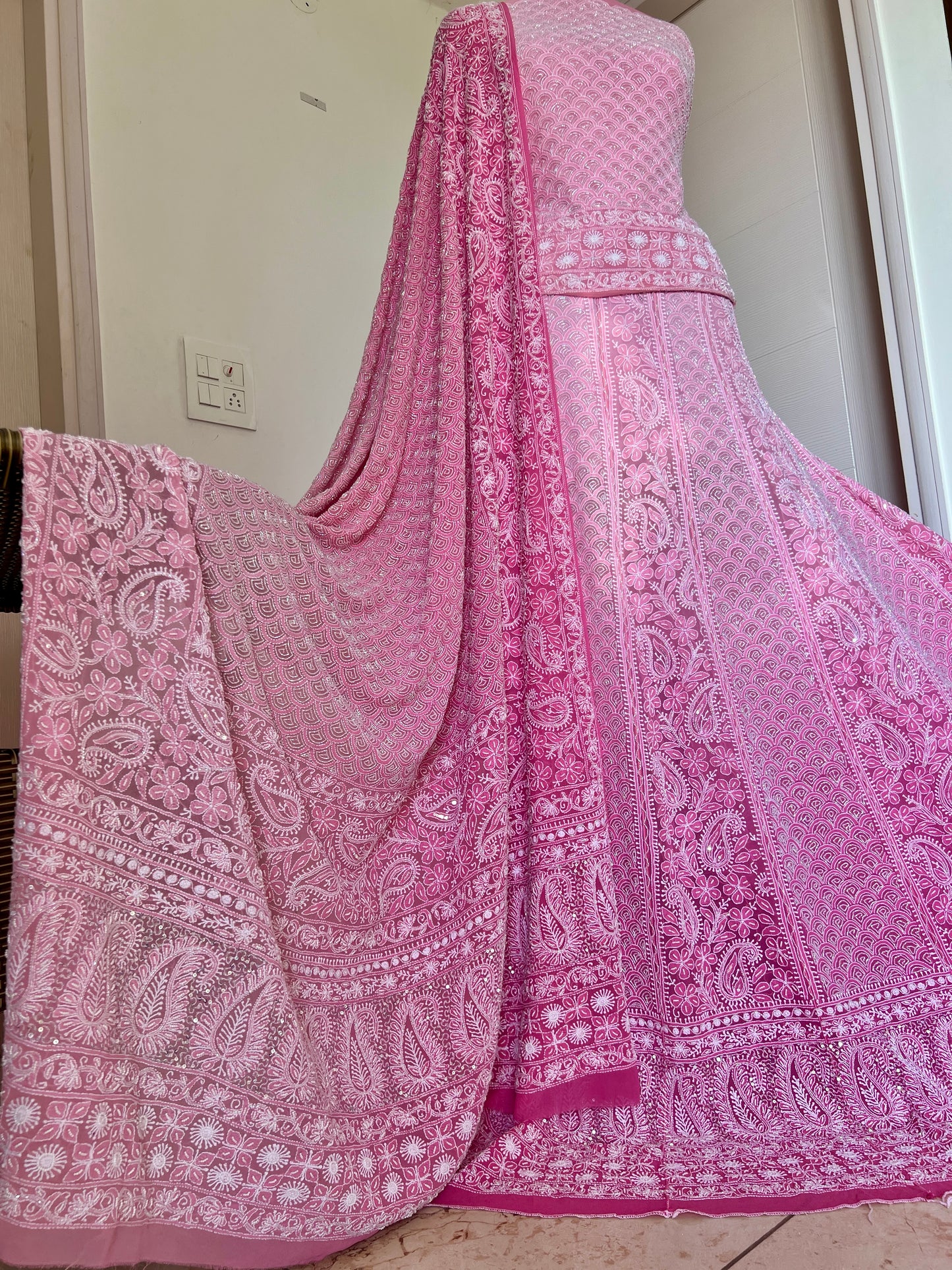 Ruhani Ombré Pink Chikankari Cut Dana sequins pearl Lehenga