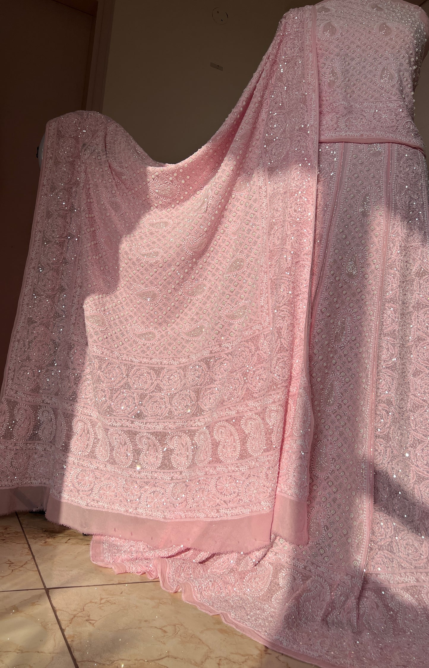 Ruhani Pink Chikankari Pearl Cut Dana Sequins Wedding Lehenga