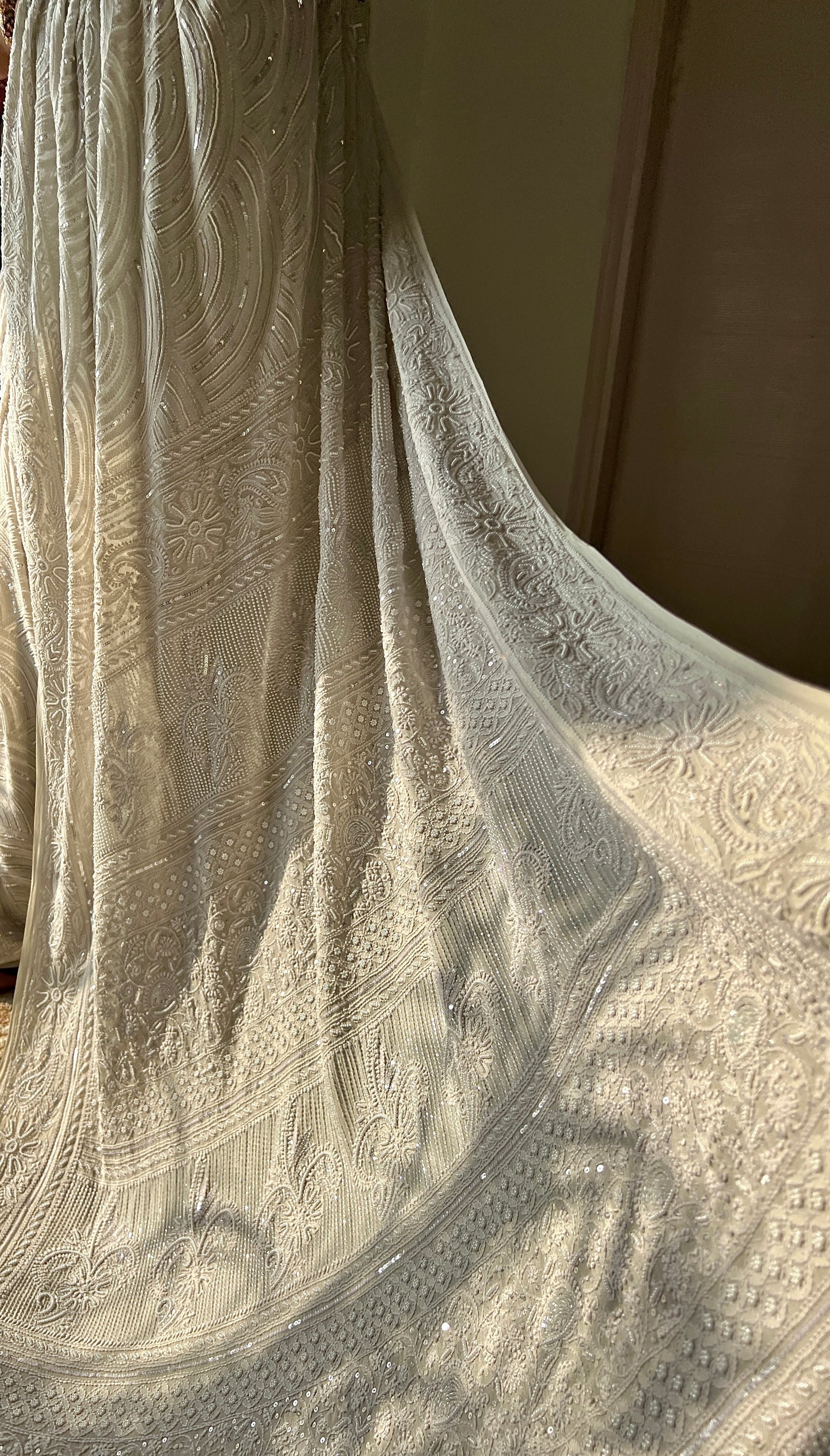 Ruhani Ice Mint Chikankari Pearl Cut Dana and Sequins Saree