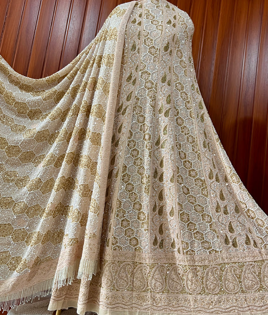 Ruhani Nude Chikankari Sequins and Cut Dana Anarkali