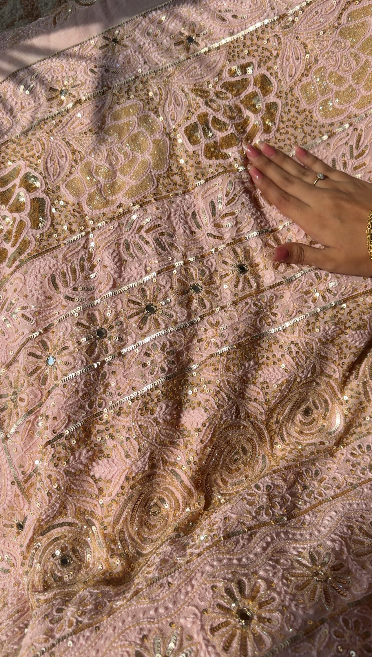 Ruhani Blush Peach Chikankari Sequins Cut Dana Embroidered Masterpiece Saree