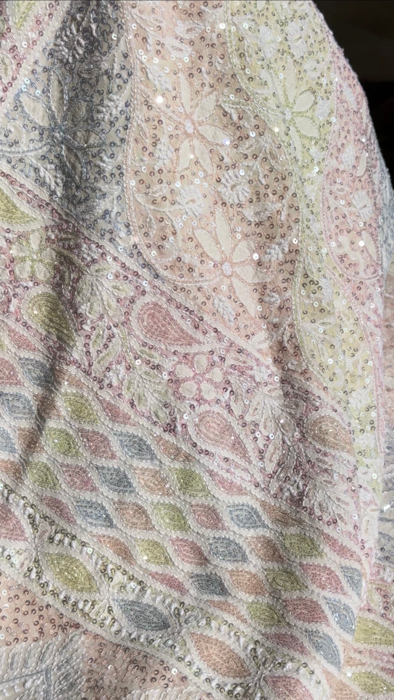 Ruhani Ivory Chikankari Multi Cut Dana and Sequins Saree