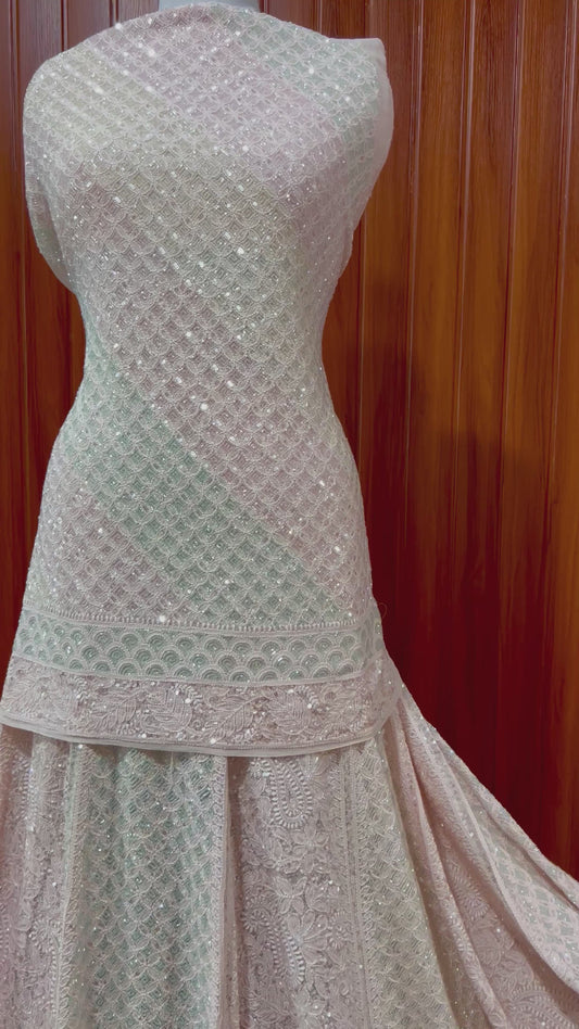 Ruhani Nude Pink Chikankari Lehenga with Multicolored Cut Dana and sequins Work