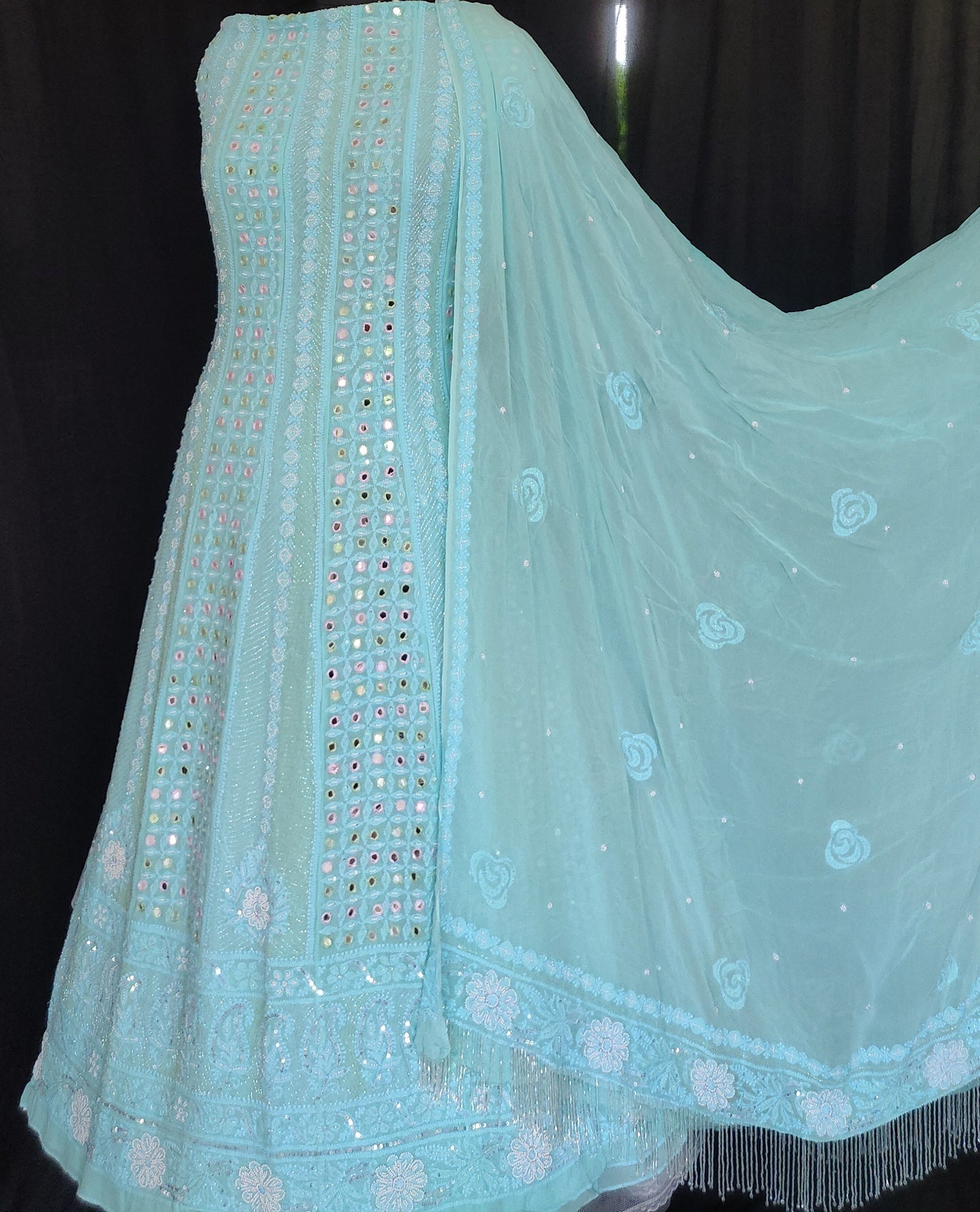 Firozi fine Chikankari mirror pearl and cut dana anarkali